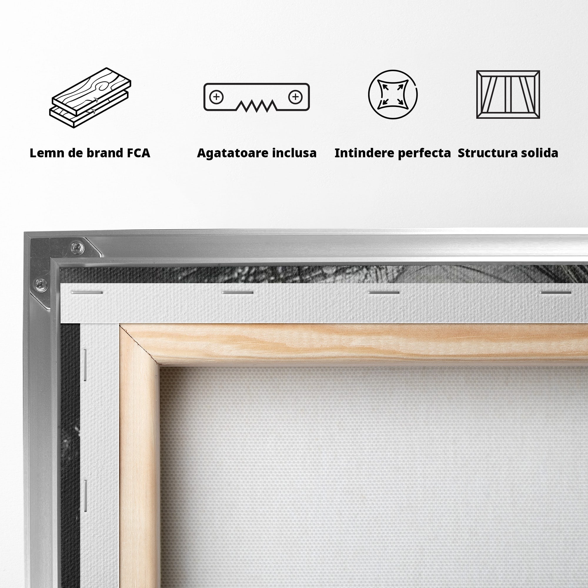 Tablou Canvas Premium LuxCanva® PI1039, Detaliu Buze Seducatoare, Portret, Buze, Detaliu, Arta, Dormitor, Culori Vibrante