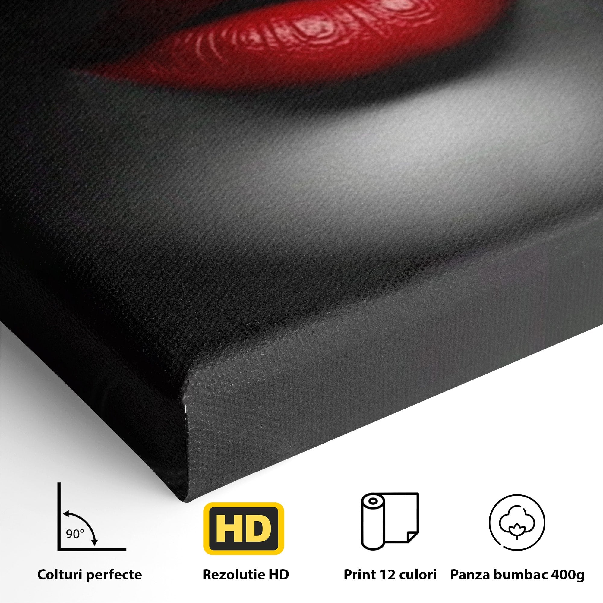 Tablou Canvas Premium LuxCanva® PI1041, Seductie In Umbra, Portret, Mister, Eleganta, Moda, Dormitor, Culori Vibrante