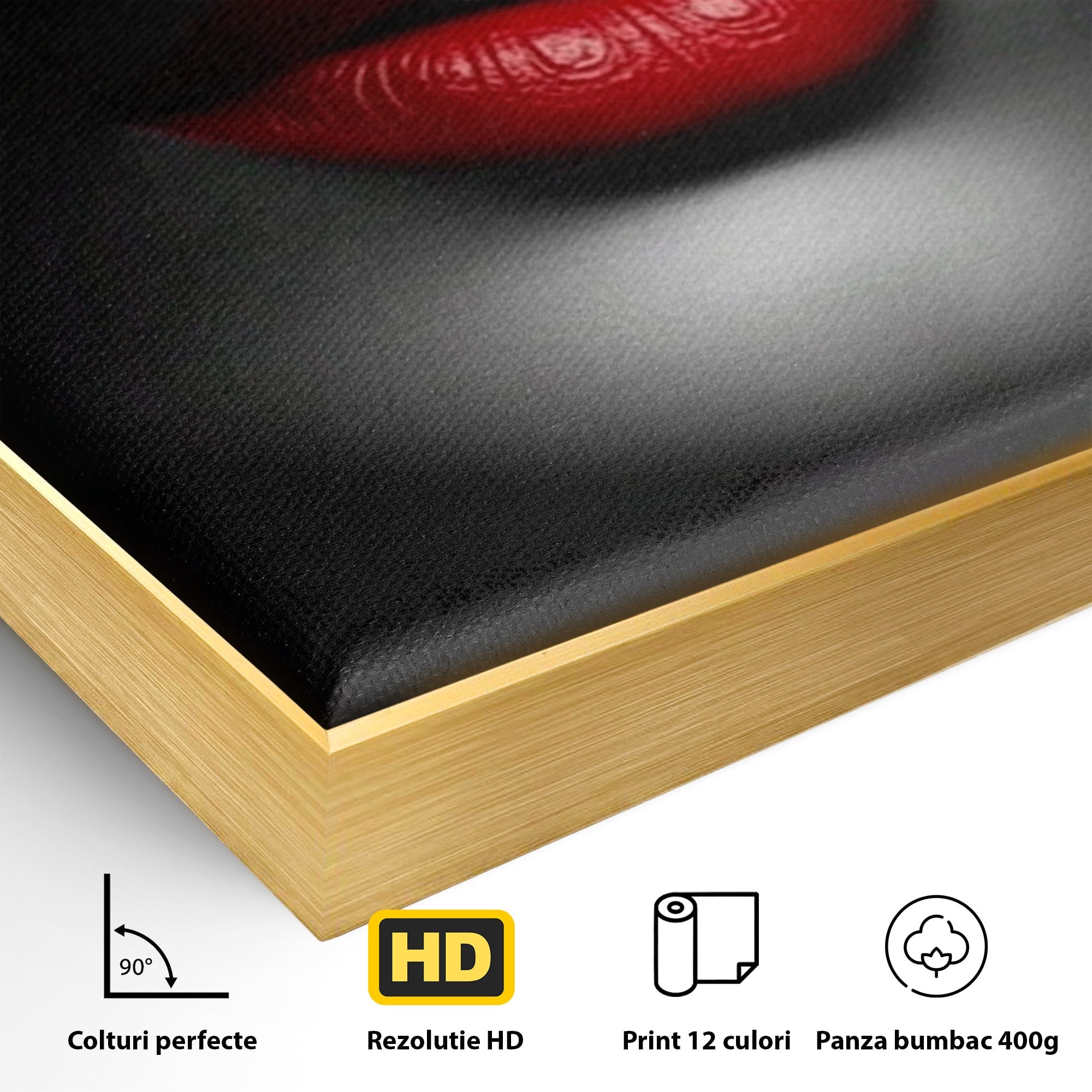 Tablou Canvas Premium LuxCanva® PI1041, Seductie In Umbra, Portret, Mister, Eleganta, Moda, Dormitor, Culori Vibrante