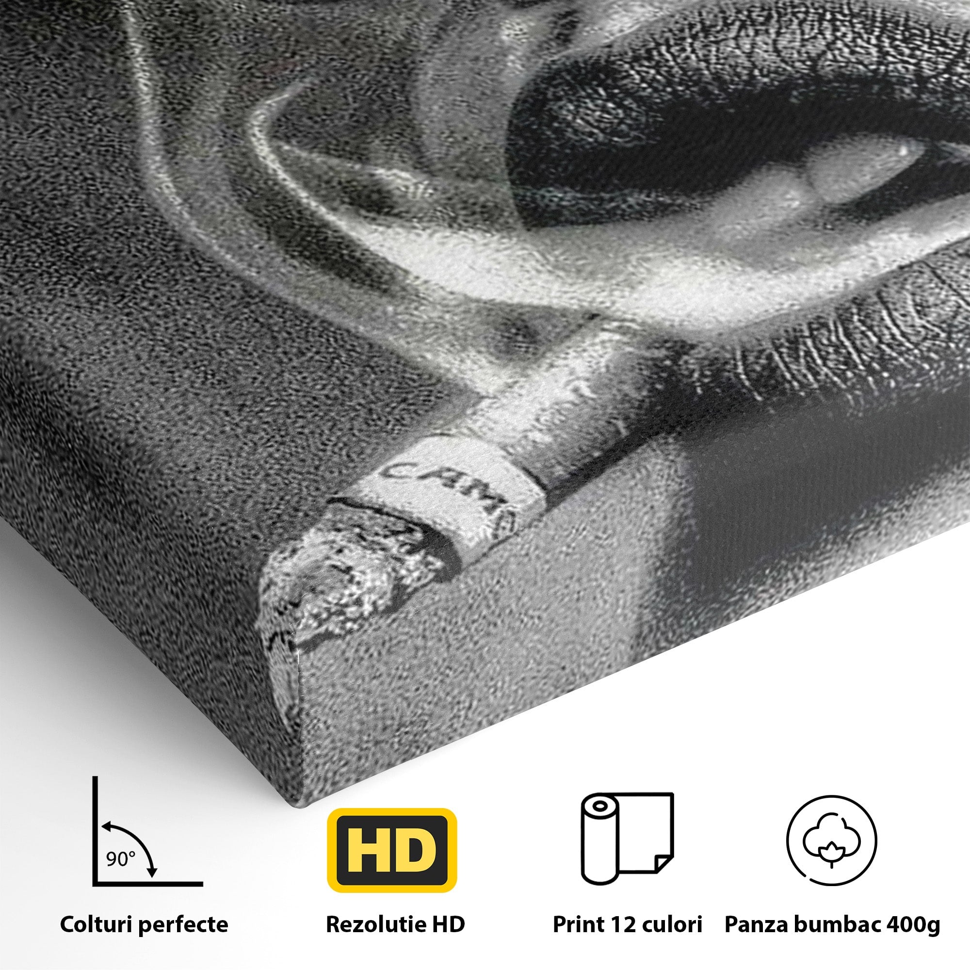 Tablou Canvas Premium LuxCanva® PI1042, Fumatoare Misterioasa, Fumatoare, Portret, Fum, Arta Abstracta, Living, Dormitor, Culori Vibrante