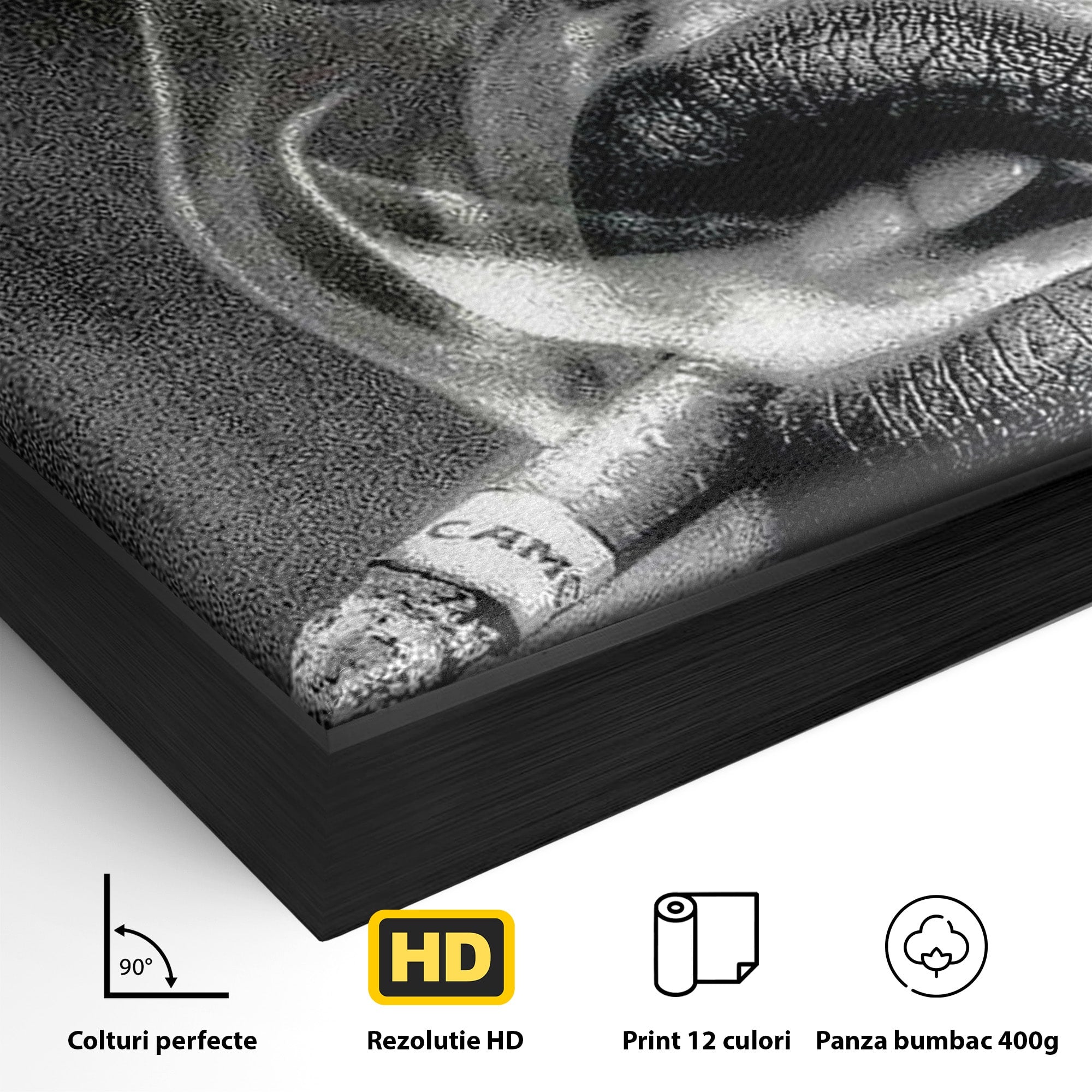 Tablou Canvas Premium LuxCanva® PI1042, Fumatoare Misterioasa, Fumatoare, Portret, Fum, Arta Abstracta, Living, Dormitor, Culori Vibrante