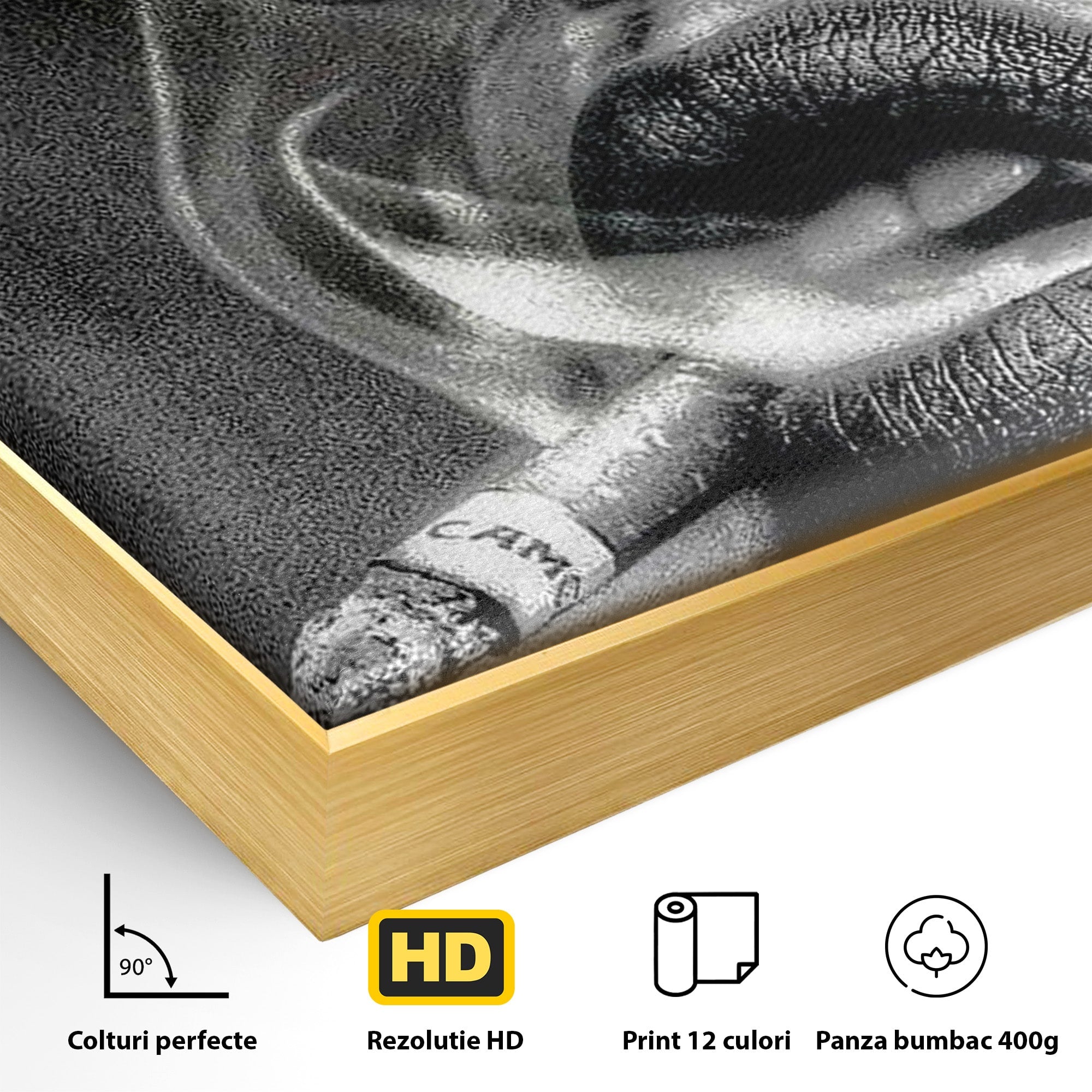 Tablou Canvas Premium LuxCanva® PI1042, Fumatoare Misterioasa, Fumatoare, Portret, Fum, Arta Abstracta, Living, Dormitor, Culori Vibrante