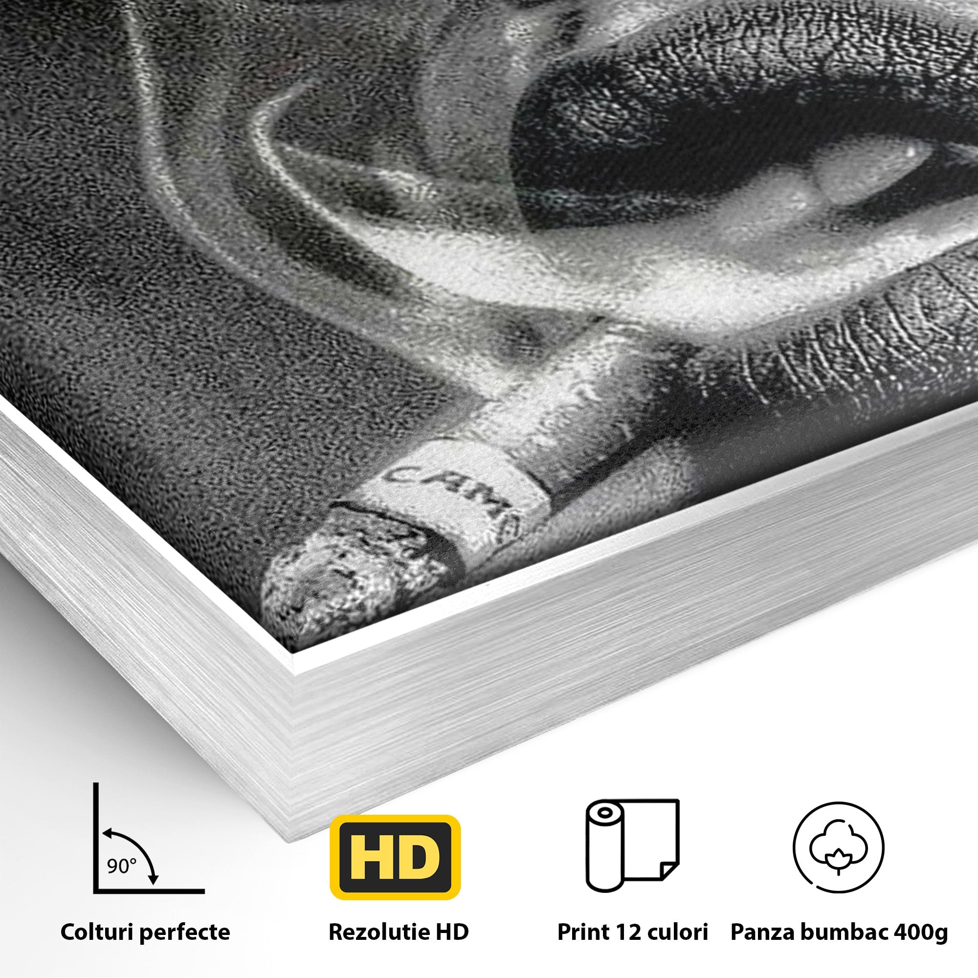 Tablou Canvas Premium LuxCanva® PI1042, Fumatoare Misterioasa, Fumatoare, Portret, Fum, Arta Abstracta, Living, Dormitor, Culori Vibrante