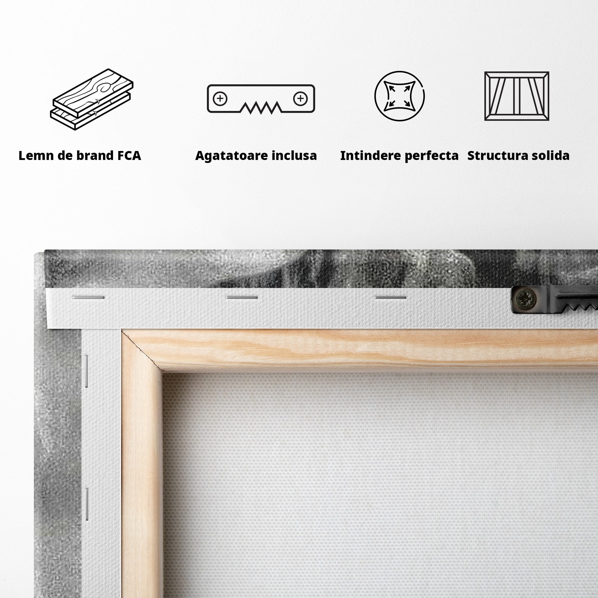 Tablou Canvas Premium LuxCanva® PI1042, Fumatoare Misterioasa, Fumatoare, Portret, Fum, Arta Abstracta, Living, Dormitor, Culori Vibrante