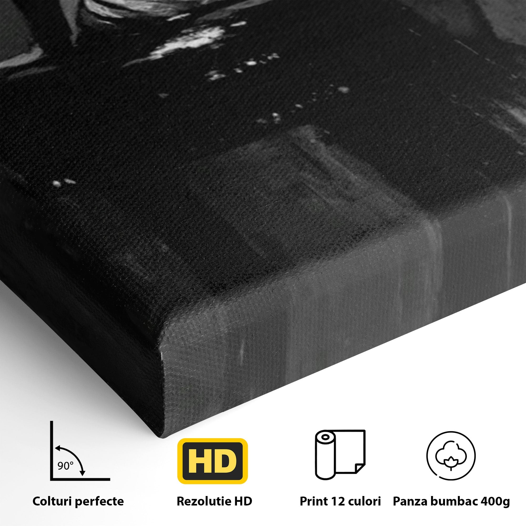 Tablou Canvas Premium LuxCanva® PI1043, Eleganta In Negru, Femeie, Eleganta, Portret, Arta, Dormitor, Culori Vibrante