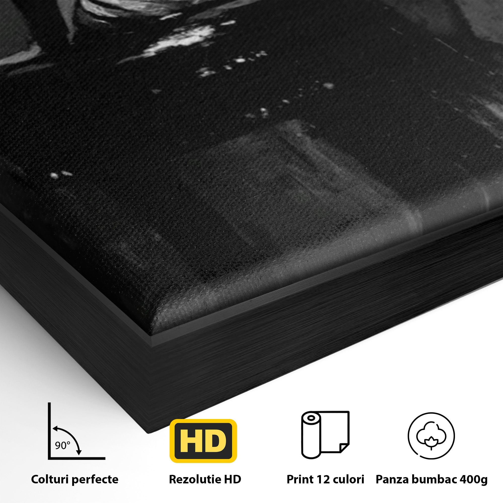 Tablou Canvas Premium LuxCanva® PI1043, Eleganta In Negru, Femeie, Eleganta, Portret, Arta, Dormitor, Culori Vibrante