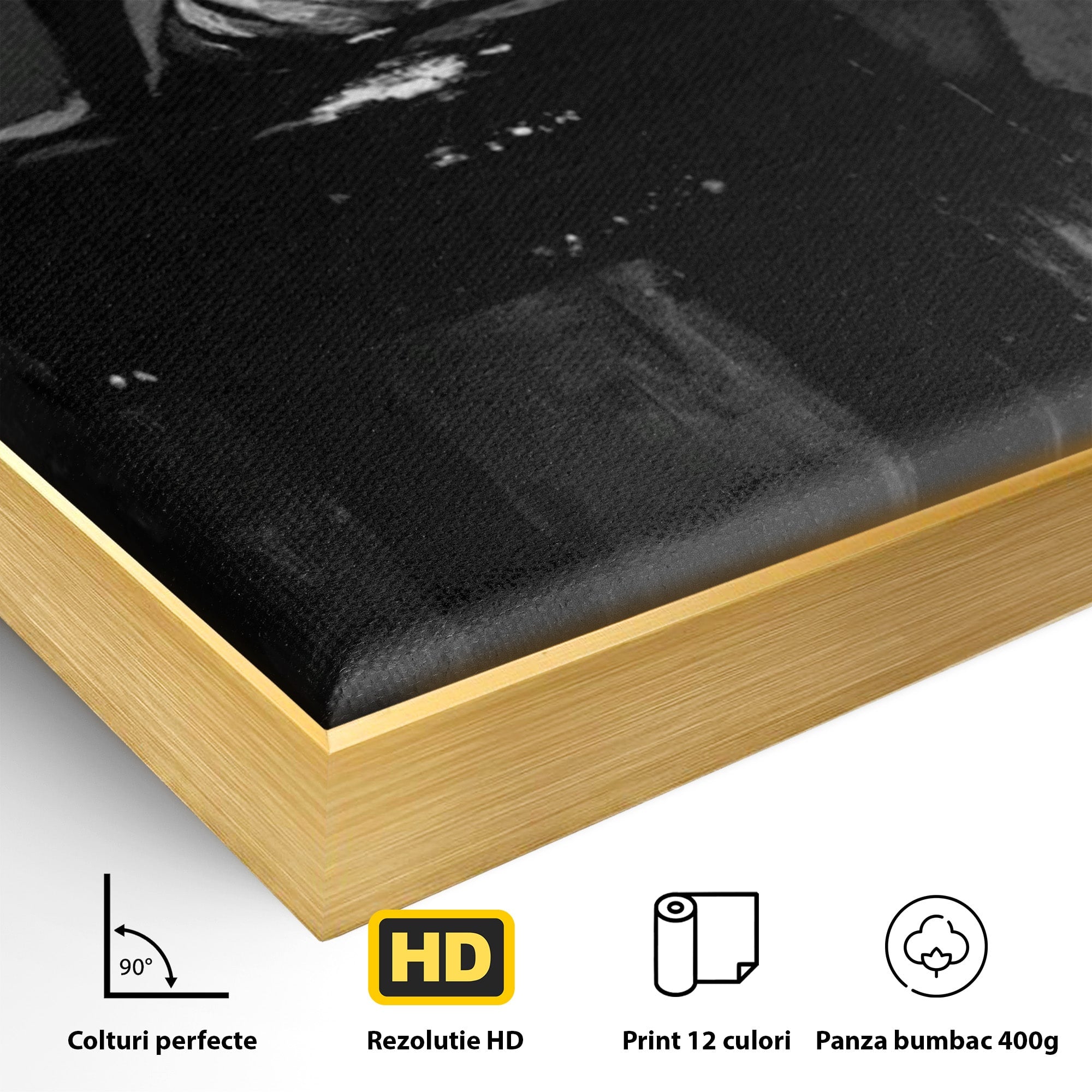 Tablou Canvas Premium LuxCanva® PI1043, Eleganta In Negru, Femeie, Eleganta, Portret, Arta, Dormitor, Culori Vibrante