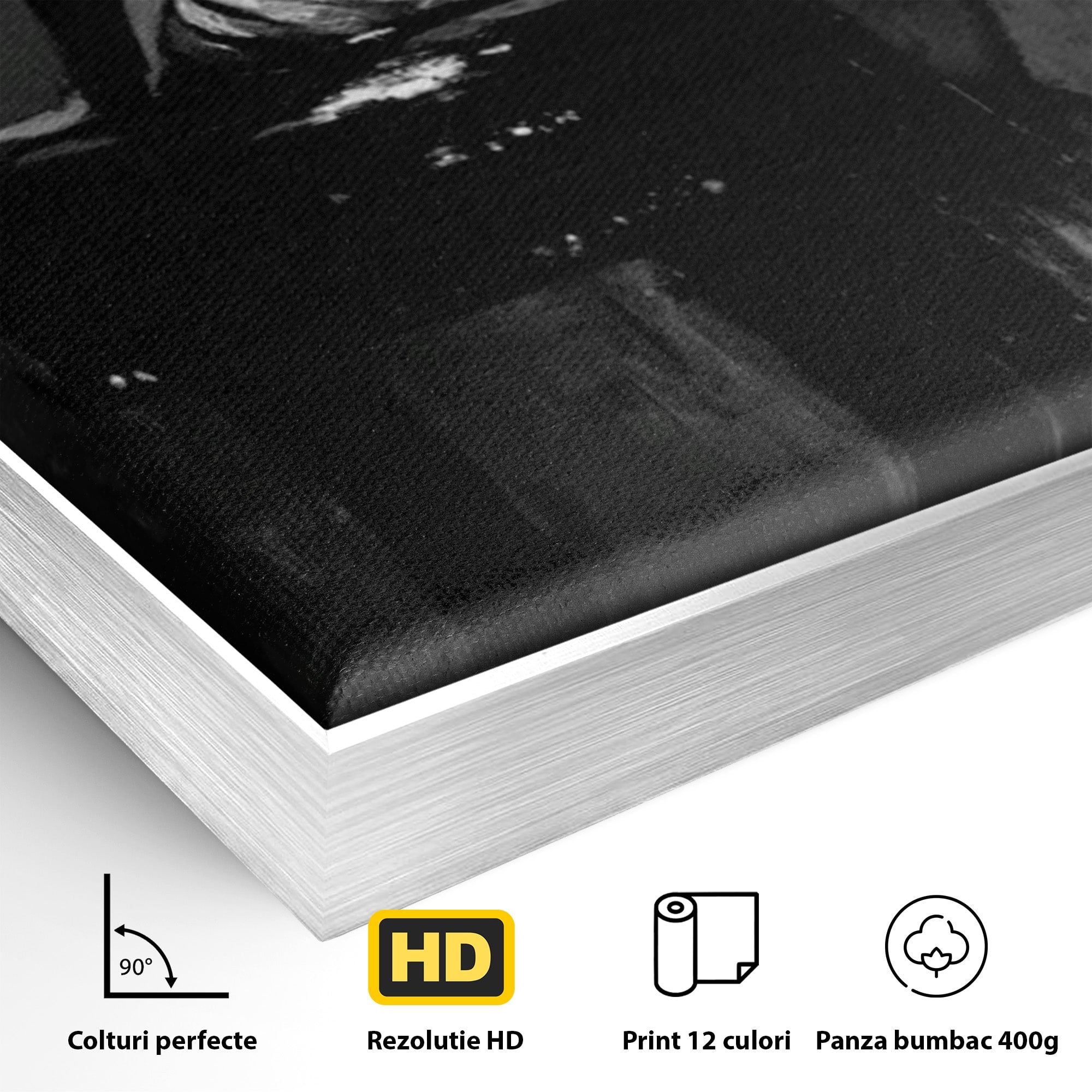 Tablou Canvas Premium LuxCanva® PI1043, Eleganta In Negru, Femeie, Eleganta, Portret, Arta, Dormitor, Culori Vibrante