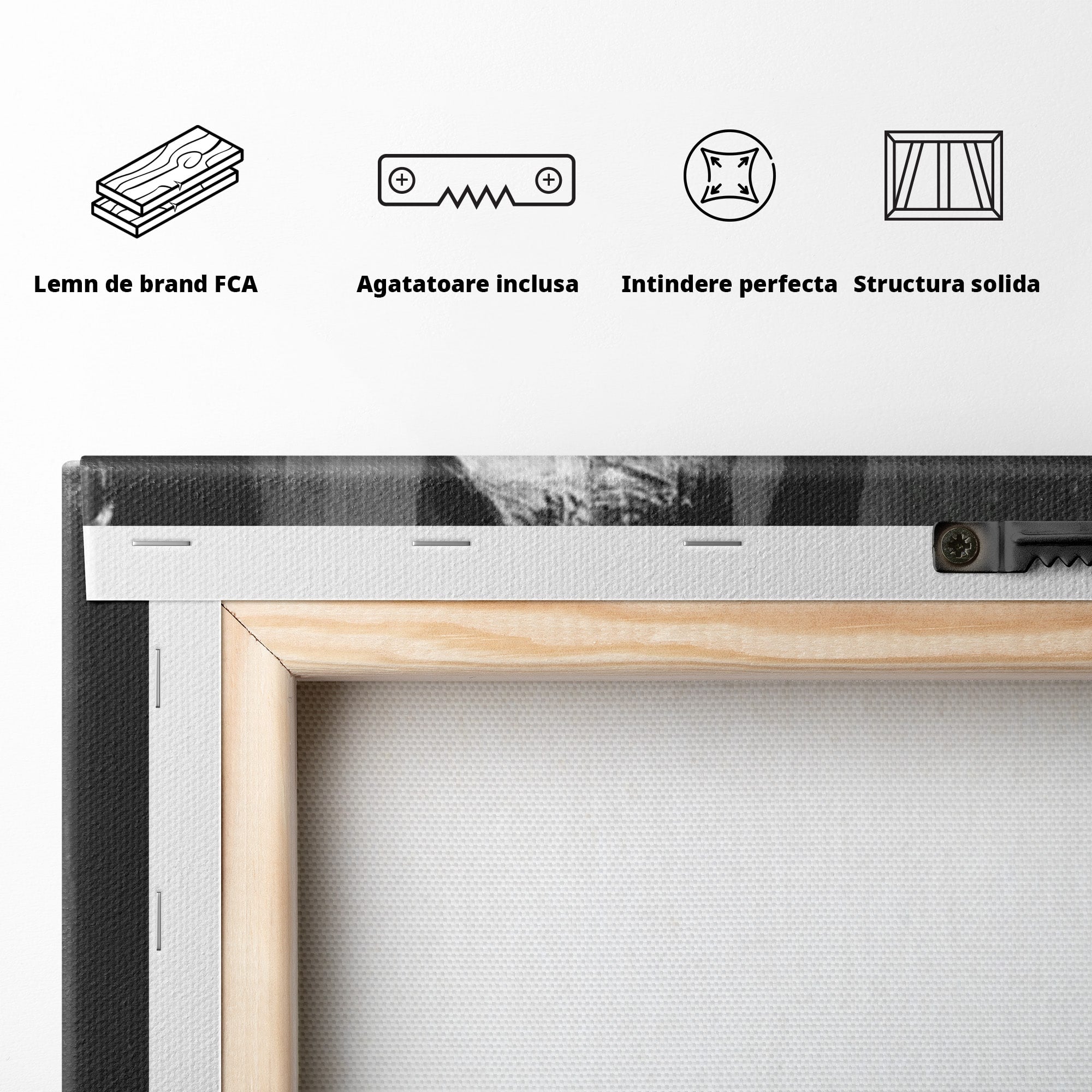 Tablou Canvas Premium LuxCanva® PI1043, Eleganta In Negru, Femeie, Eleganta, Portret, Arta, Dormitor, Culori Vibrante