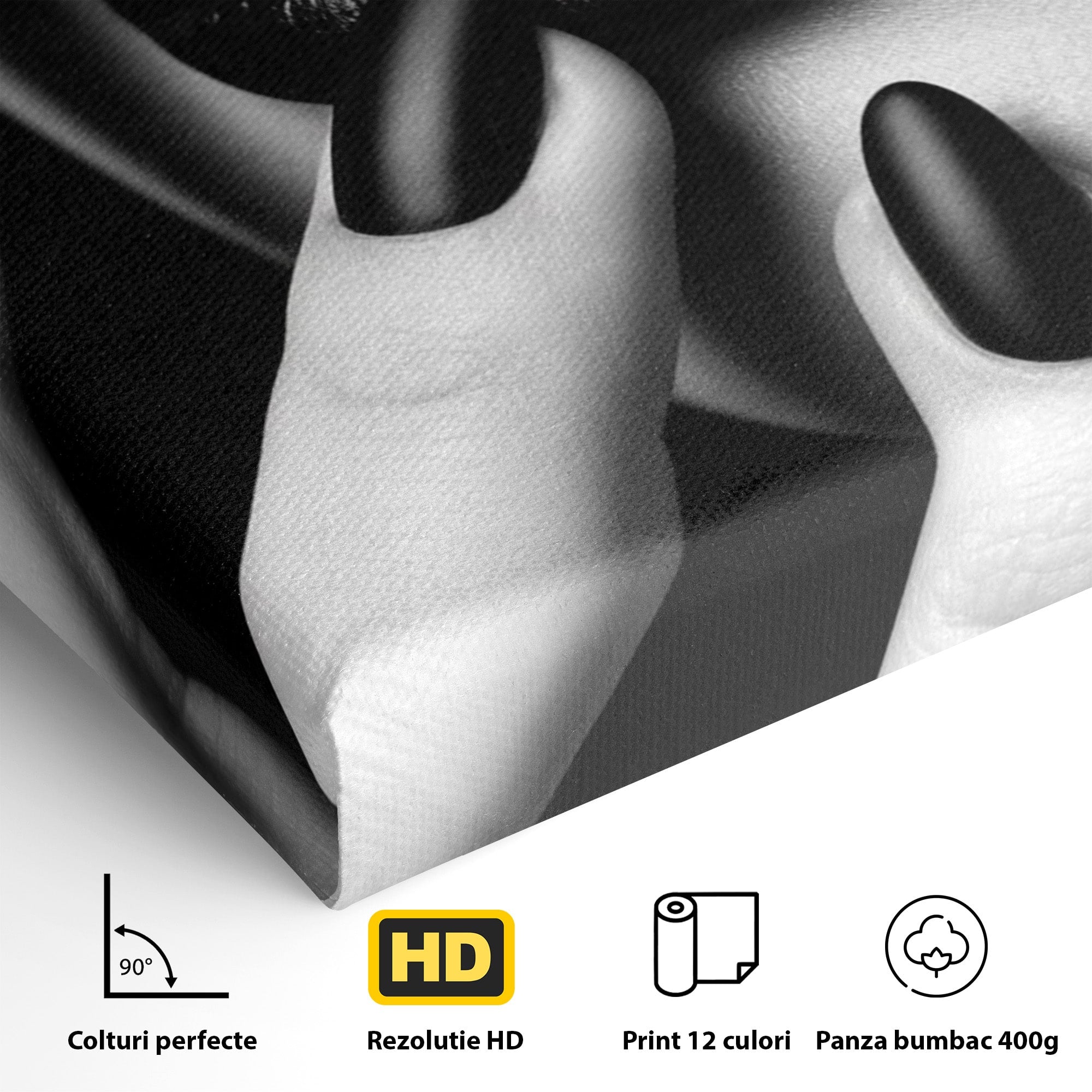 Tablou Canvas Premium LuxCanva® PI1045, Buze Negre, Buze, Portret, Modern, Eleganta, Dormitor, Culori Vibrante