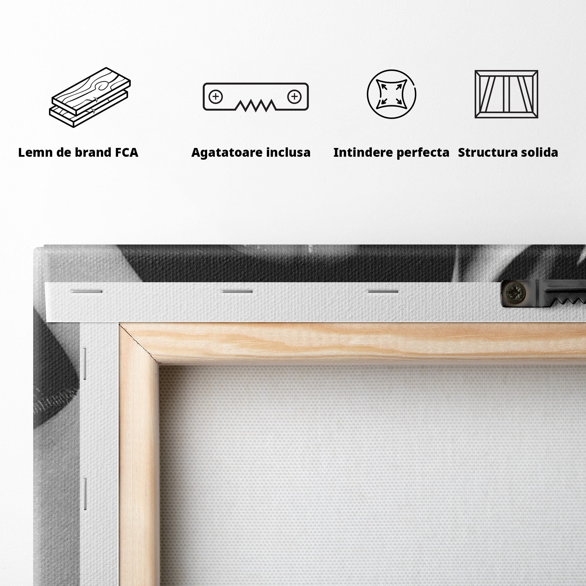 Tablou Canvas Premium LuxCanva® PI1045, Buze Negre, Buze, Portret, Modern, Eleganta, Dormitor, Culori Vibrante