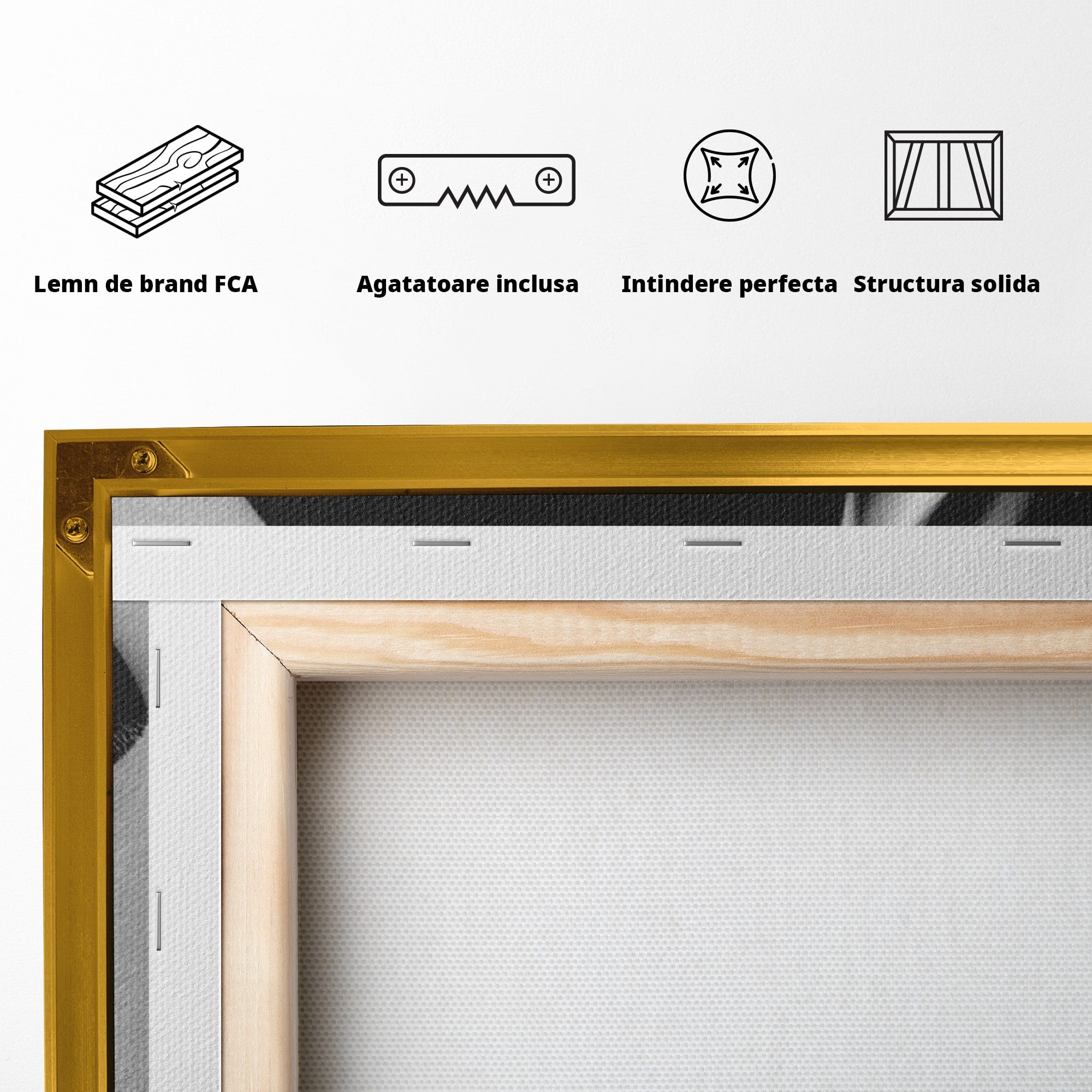 Tablou Canvas Premium LuxCanva® PI1045, Buze Negre, Buze, Portret, Modern, Eleganta, Dormitor, Culori Vibrante