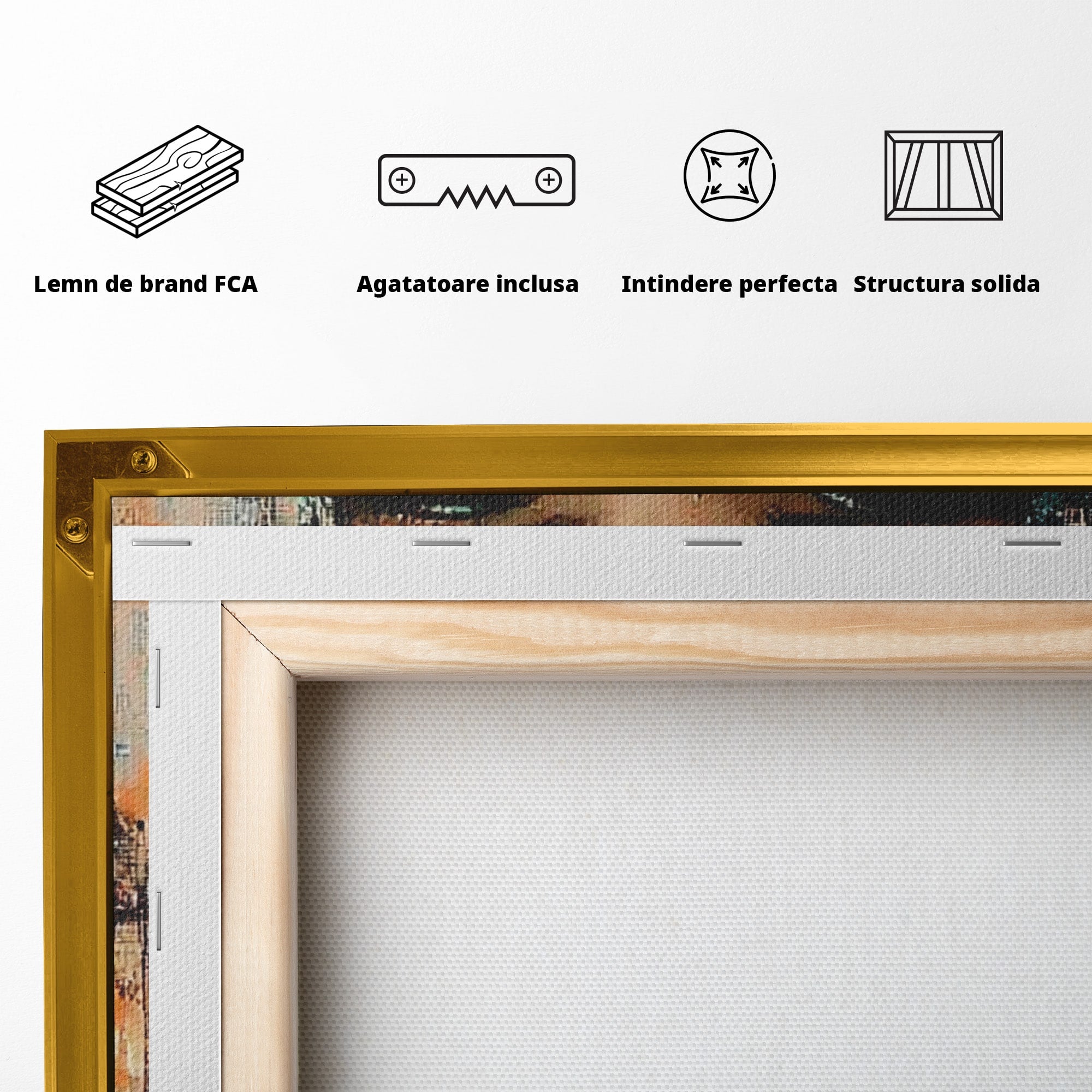Tablou Canvas Premium LuxCanva® PI1048, Privire Misterioasa, Ochi, Frumusete, Portret, Mister, Lanterna, Living, Culori Vibrante