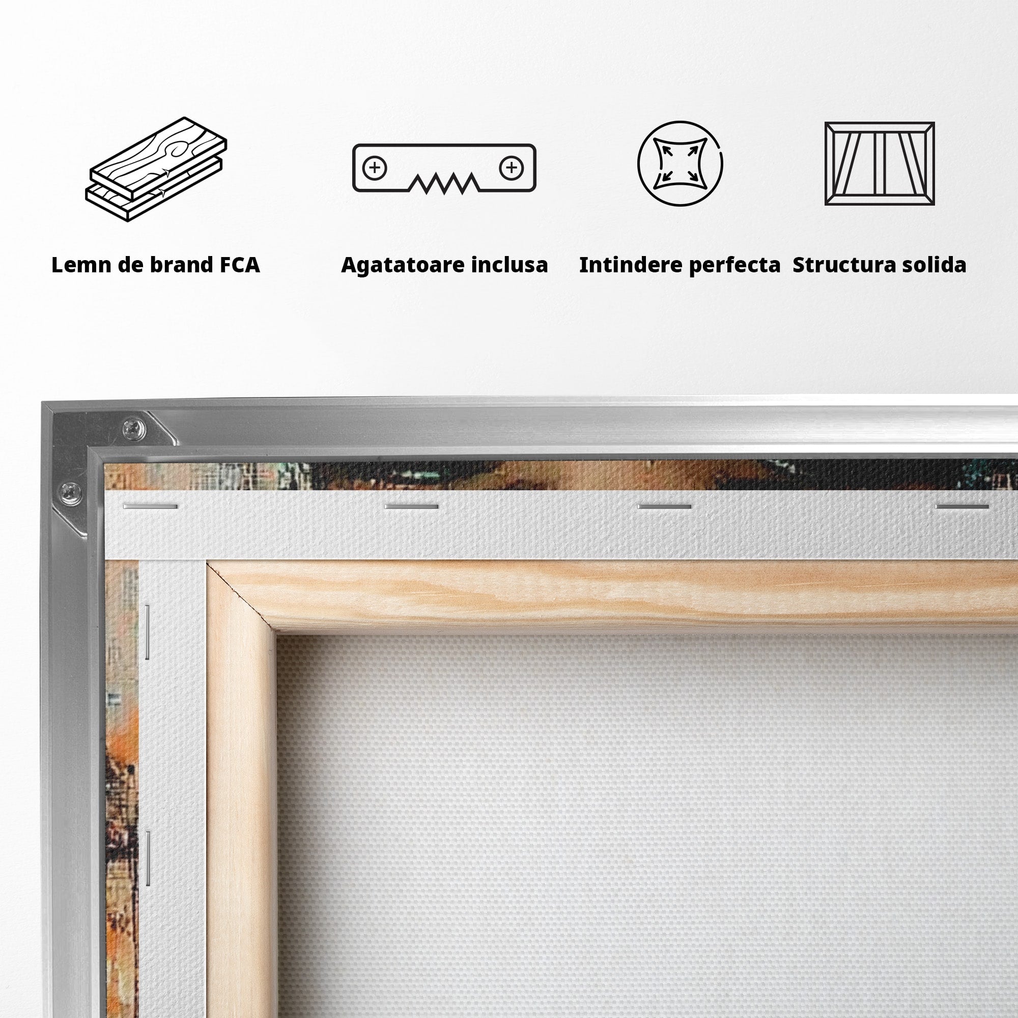 Tablou Canvas Premium LuxCanva® PI1048, Privire Misterioasa, Ochi, Frumusete, Portret, Mister, Lanterna, Living, Culori Vibrante