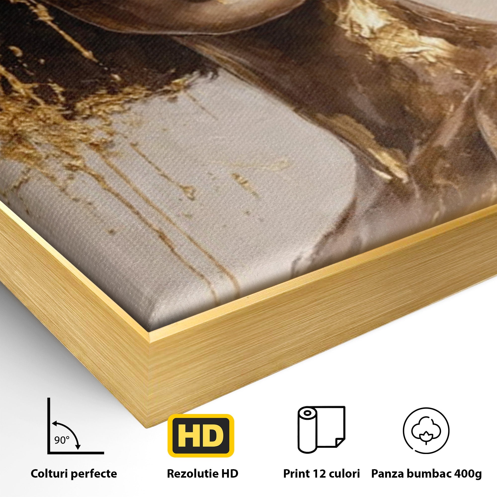Tablou Canvas Premium LuxCanva® PI1050, Misterul Aurit, Portret, Femeie, Eleganta, Moda, Dormitor, Culori Vibrante