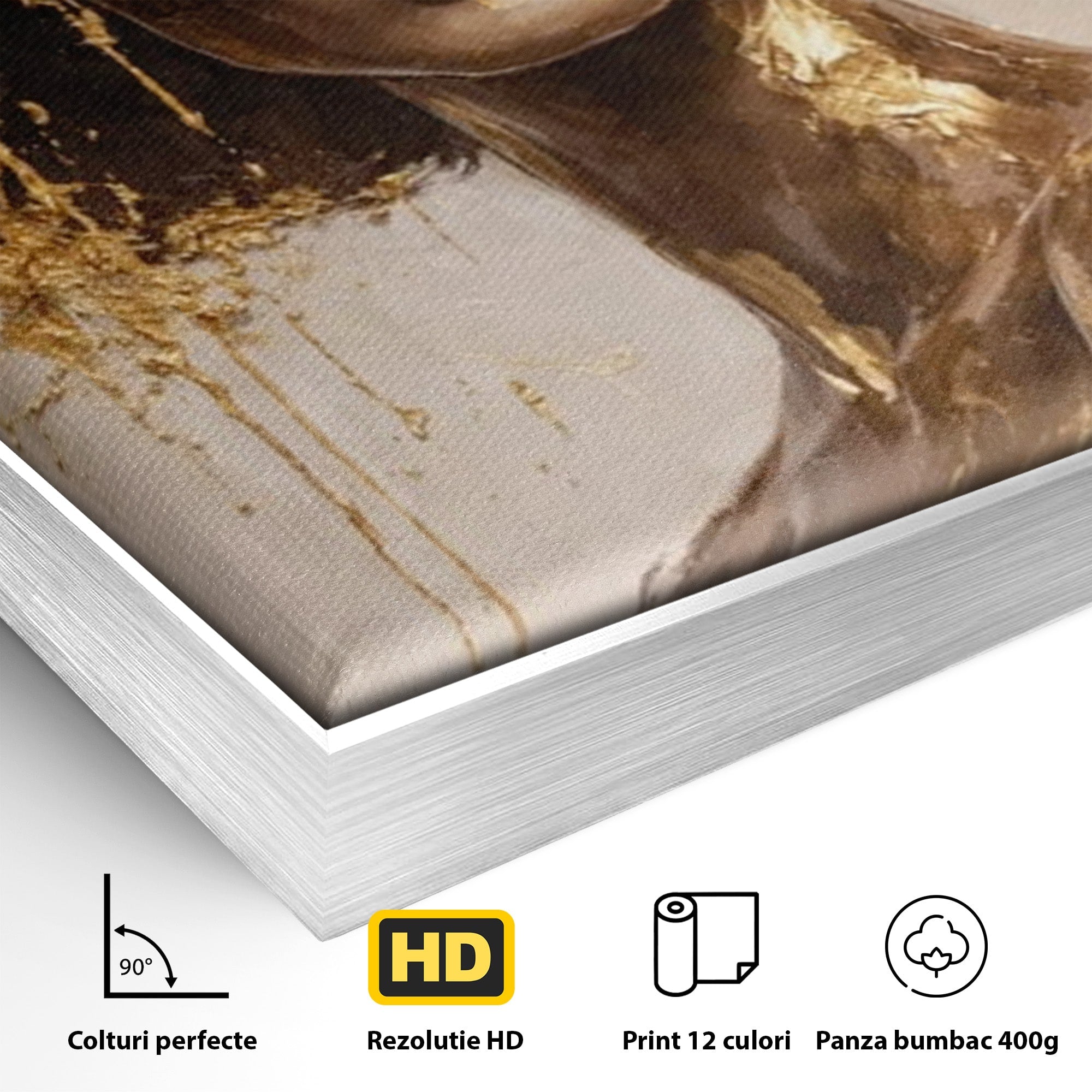 Tablou Canvas Premium LuxCanva® PI1050, Misterul Aurit, Portret, Femeie, Eleganta, Moda, Dormitor, Culori Vibrante