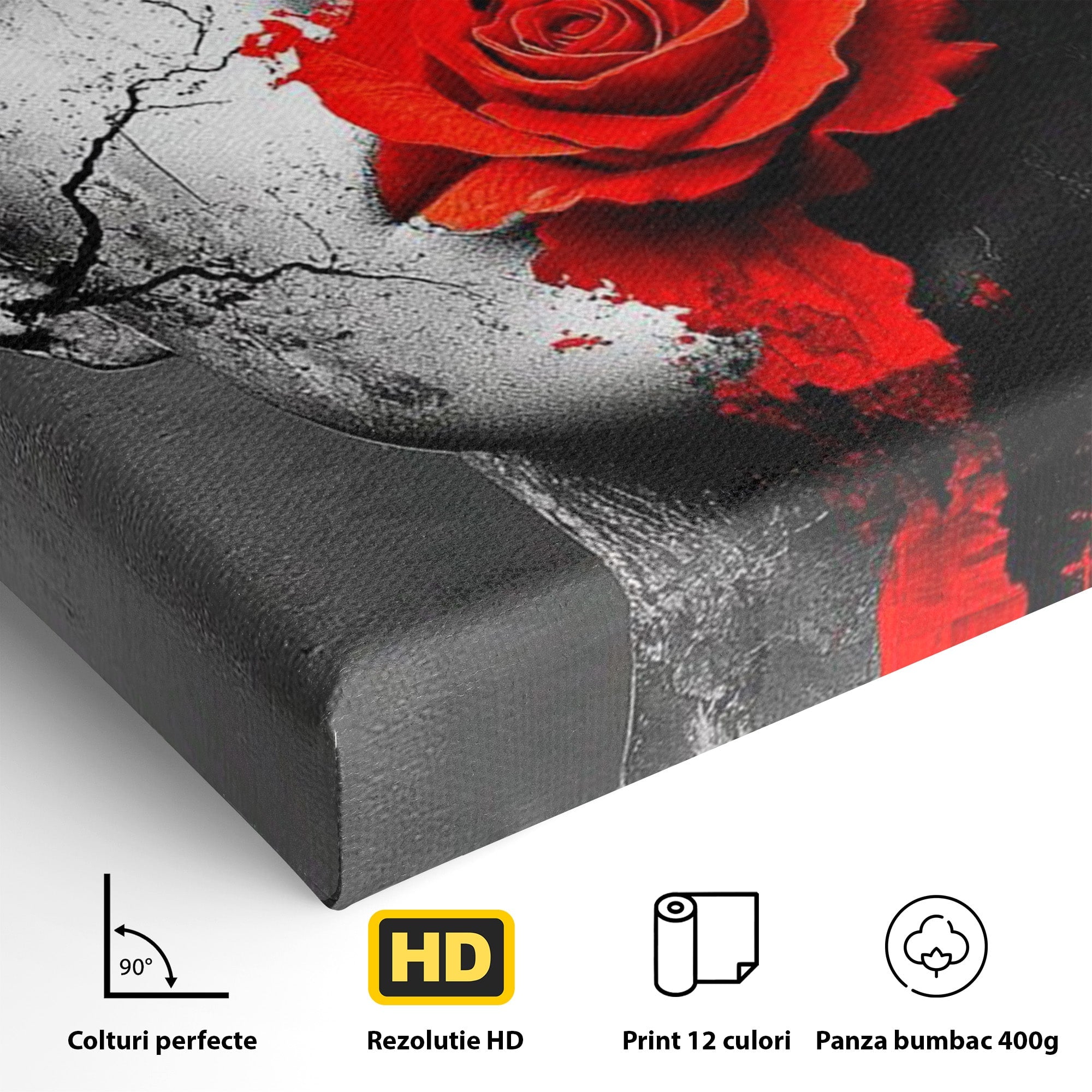 Tablou Canvas Premium LuxCanva® PI1051, Portret Cu Trandafir Rosu, Portret, Trandafir, Abstract, Living, Dormitor, Culori Vibrante