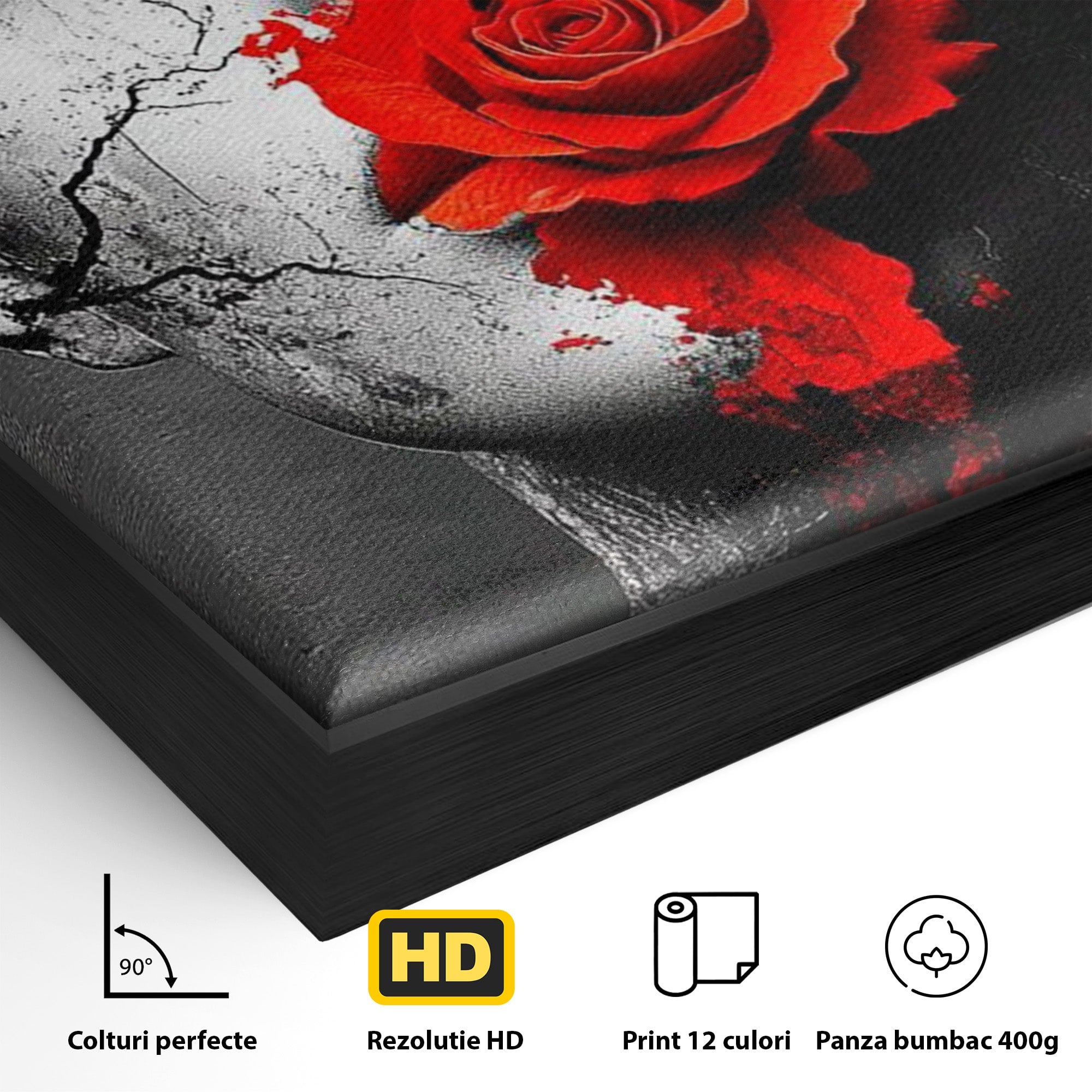 Tablou Canvas Premium LuxCanva® PI1051, Portret Cu Trandafir Rosu, Portret, Trandafir, Abstract, Living, Dormitor, Culori Vibrante