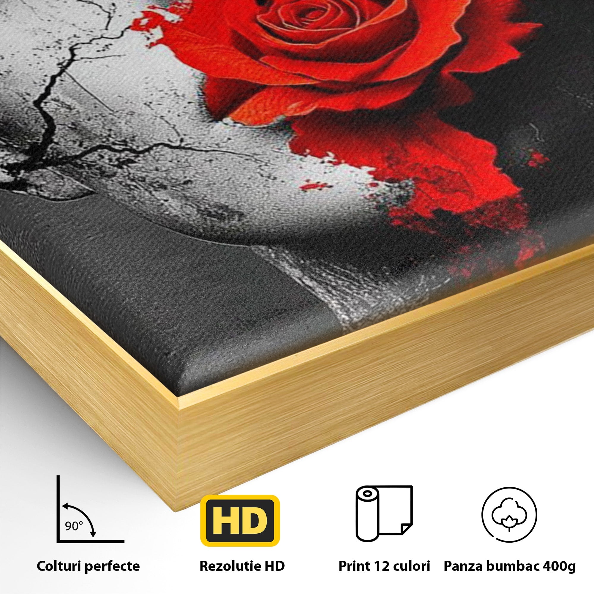 Tablou Canvas Premium LuxCanva® PI1051, Portret Cu Trandafir Rosu, Portret, Trandafir, Abstract, Living, Dormitor, Culori Vibrante