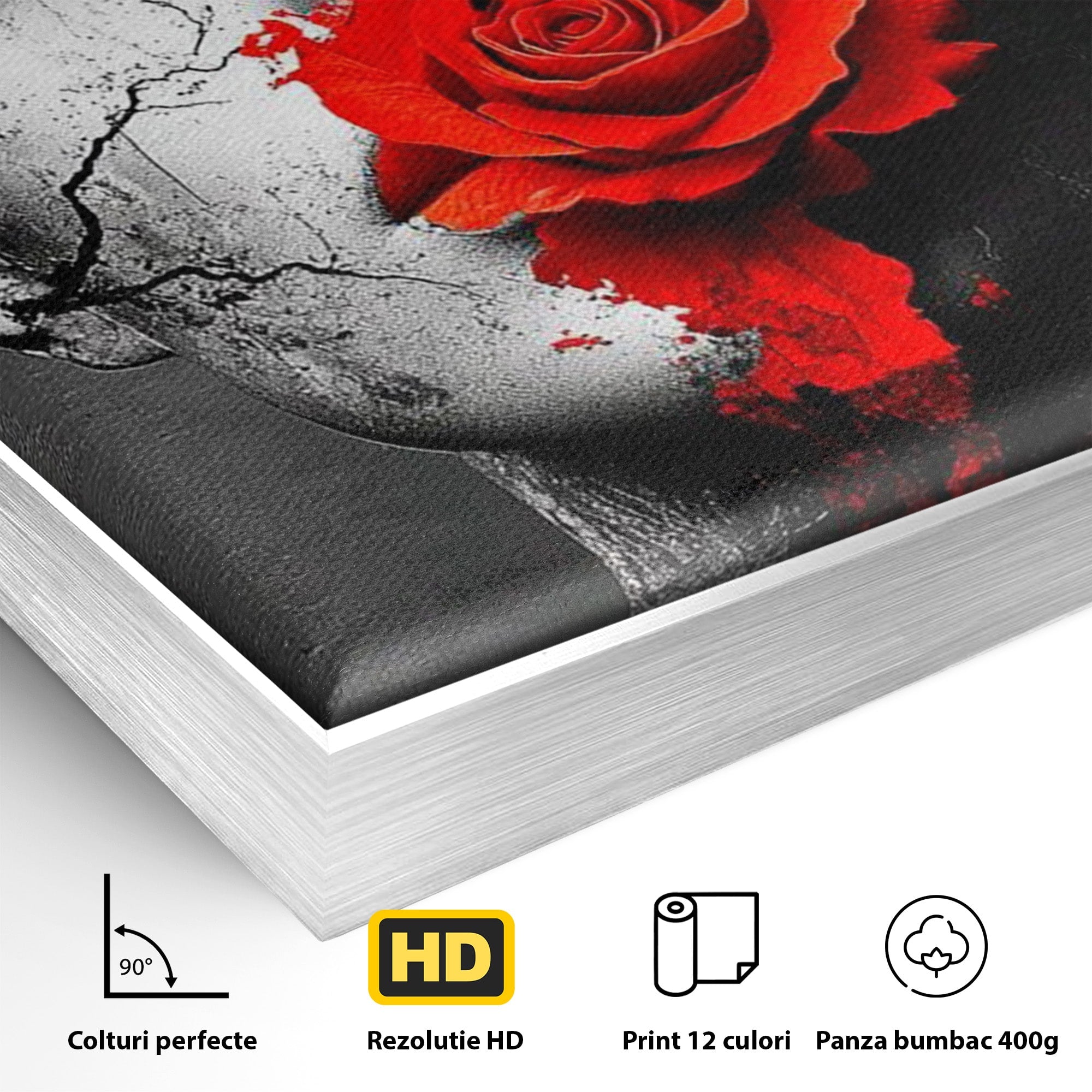 Tablou Canvas Premium LuxCanva® PI1051, Portret Cu Trandafir Rosu, Portret, Trandafir, Abstract, Living, Dormitor, Culori Vibrante