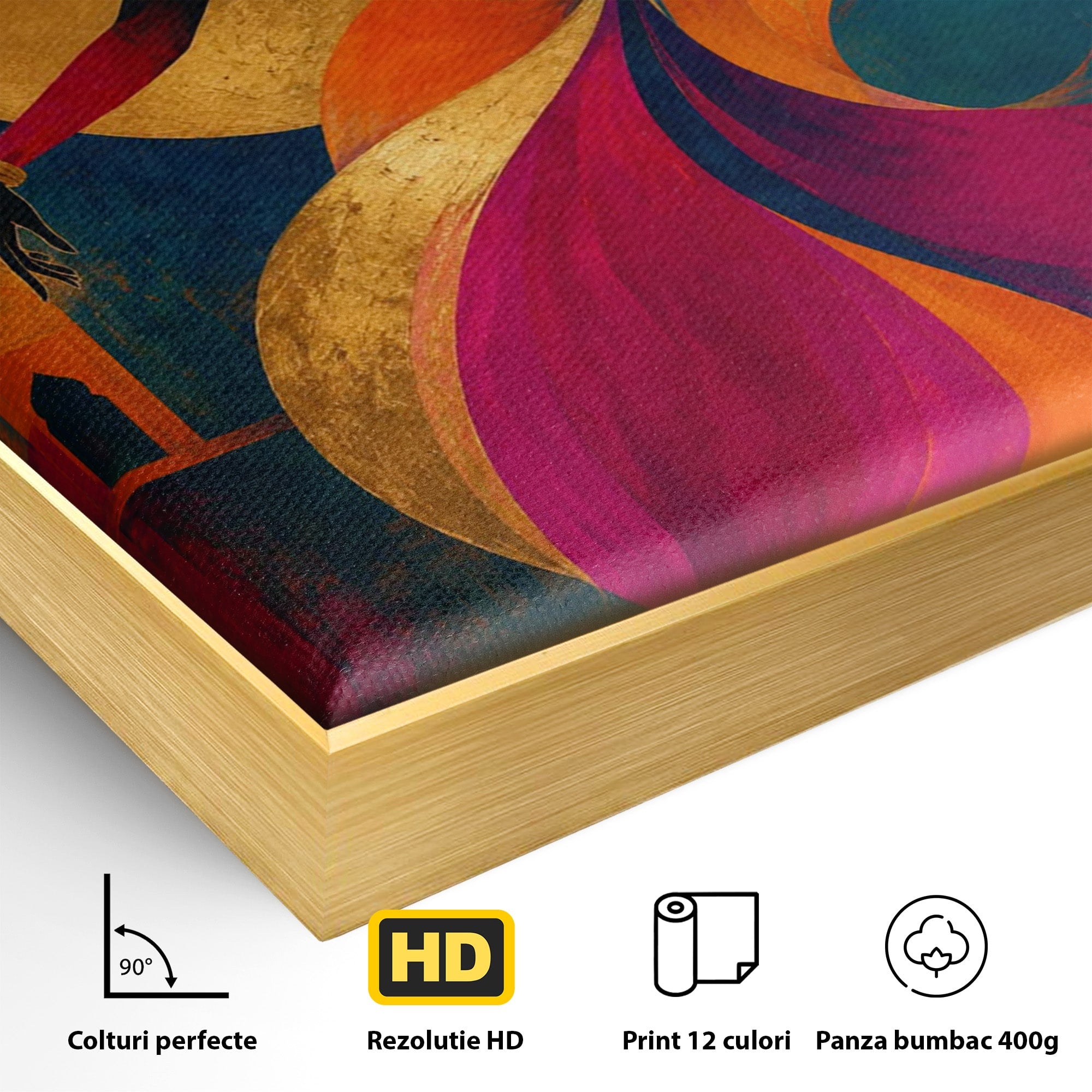Tablou Canvas Premium LuxCanva® PI1055, Dansatoare Indiana, Dansatoare, India, Exotic, Cultura, Living, Culori Vibrante