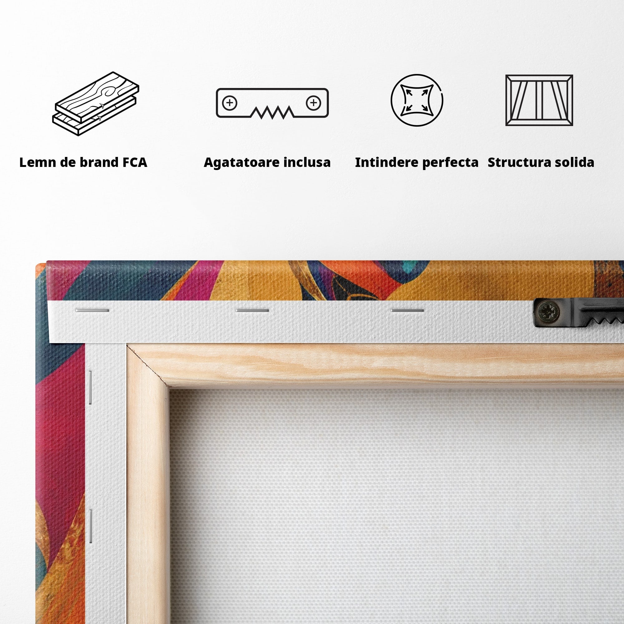 Tablou Canvas Premium LuxCanva® PI1055, Dansatoare Indiana, Dansatoare, India, Exotic, Cultura, Living, Culori Vibrante
