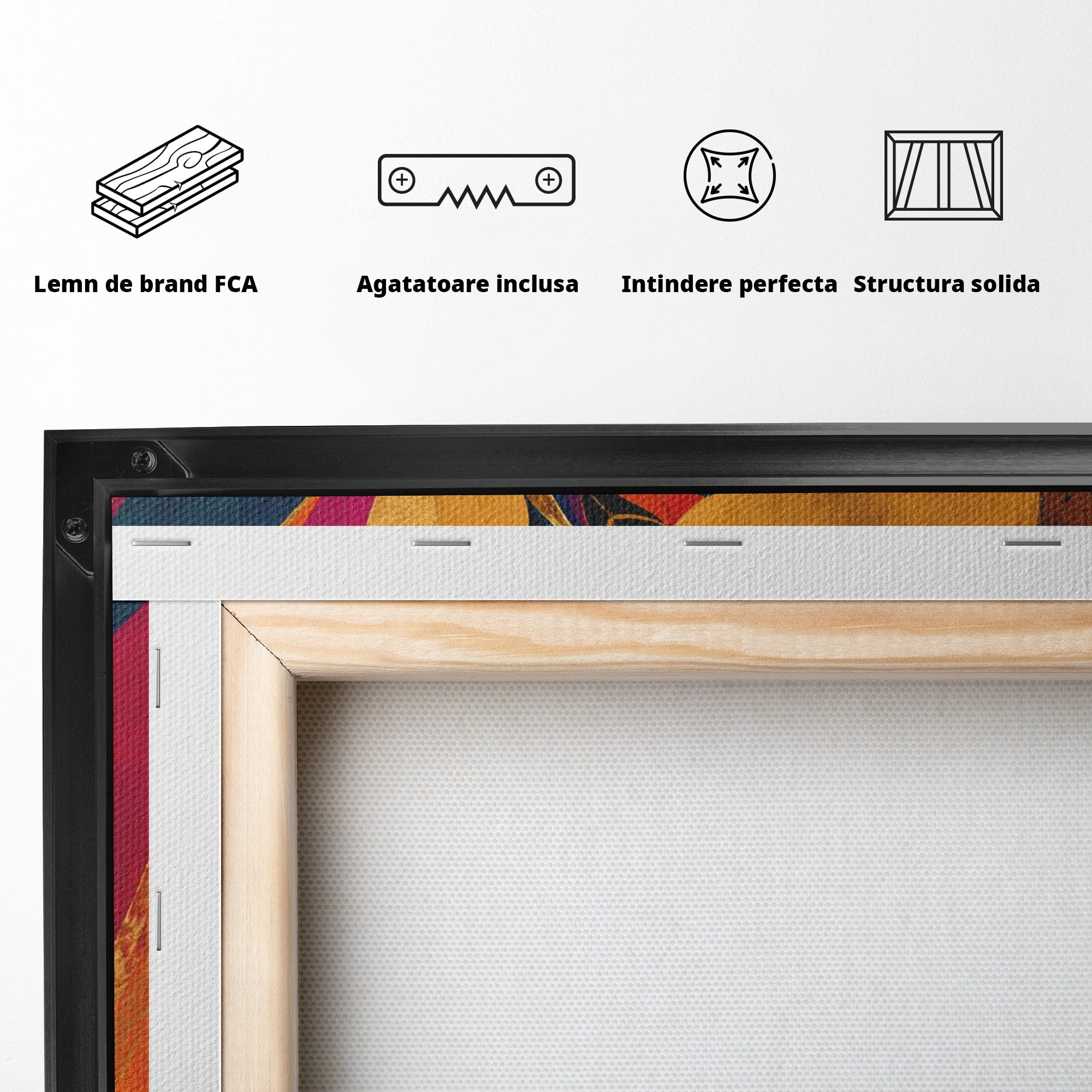 Tablou Canvas Premium LuxCanva® PI1055, Dansatoare Indiana, Dansatoare, India, Exotic, Cultura, Living, Culori Vibrante