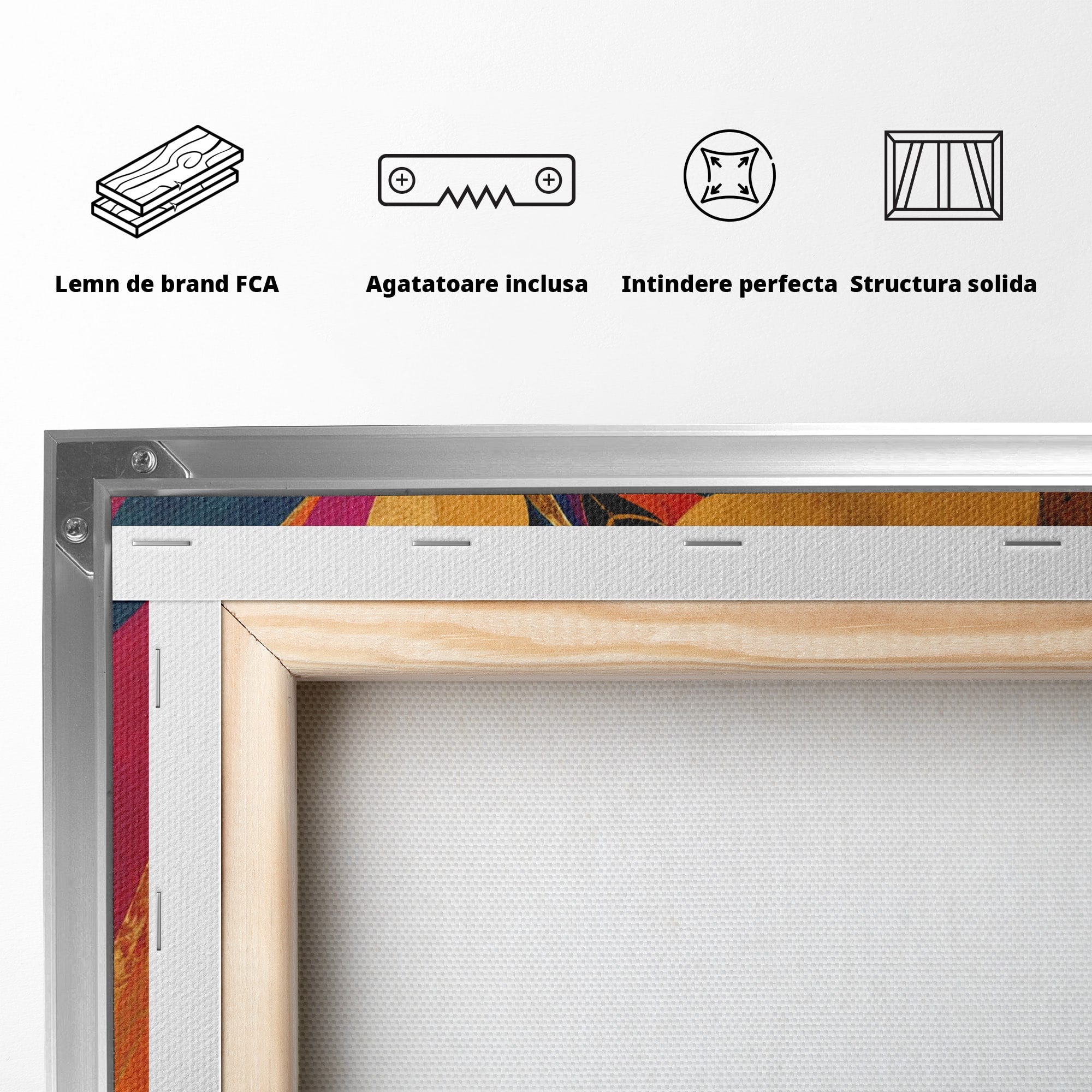 Tablou Canvas Premium LuxCanva® PI1055, Dansatoare Indiana, Dansatoare, India, Exotic, Cultura, Living, Culori Vibrante