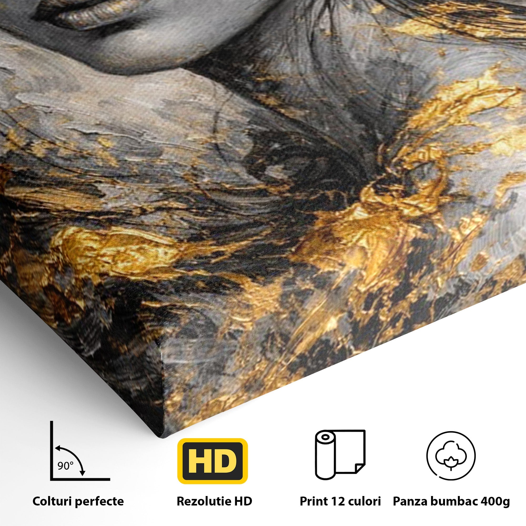 Tablou Canvas Premium LuxCanva® PI1059, Portret Aurit, Frumusete, Chip, Femeie, Arta, Eleganta, Living, Culori Vibrante