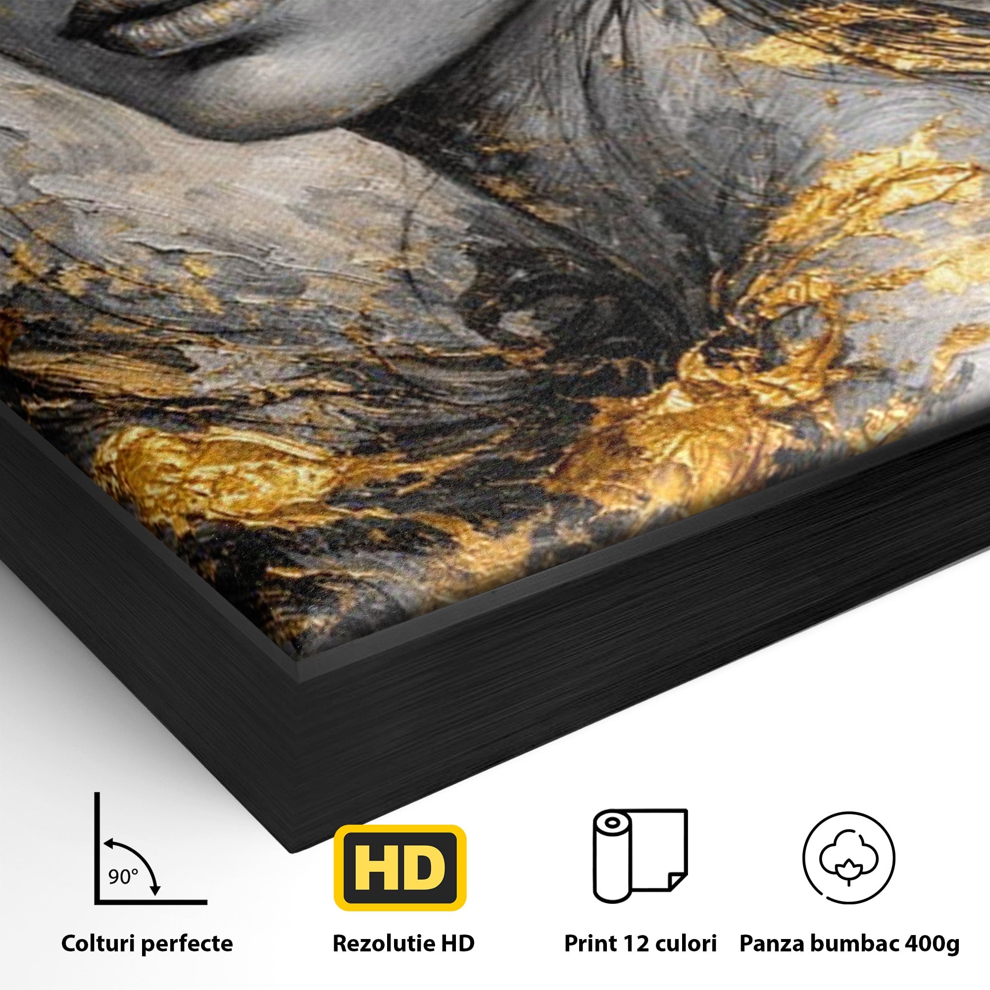 Tablou Canvas Premium LuxCanva® PI1059, Portret Aurit, Frumusete, Chip, Femeie, Arta, Eleganta, Living, Culori Vibrante