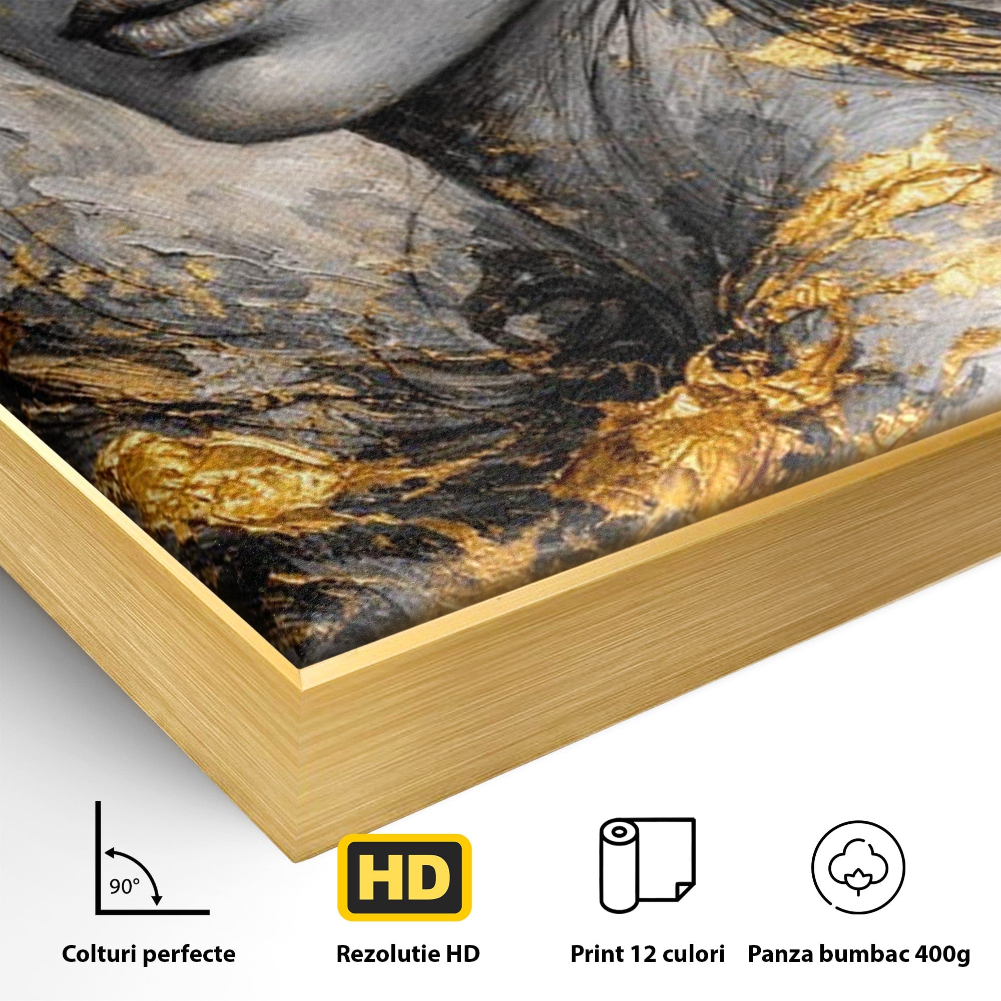 Tablou Canvas Premium LuxCanva® PI1059, Portret Aurit, Frumusete, Chip, Femeie, Arta, Eleganta, Living, Culori Vibrante