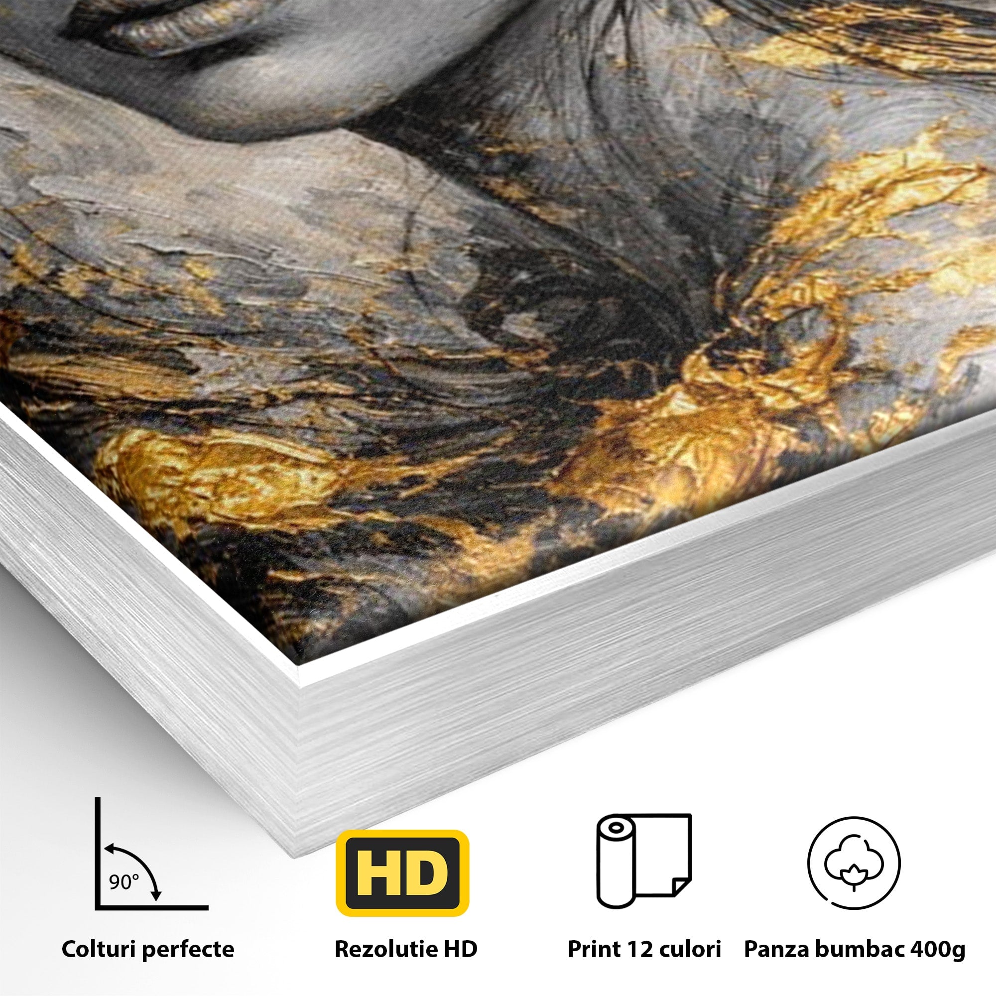 Tablou Canvas Premium LuxCanva® PI1059, Portret Aurit, Frumusete, Chip, Femeie, Arta, Eleganta, Living, Culori Vibrante