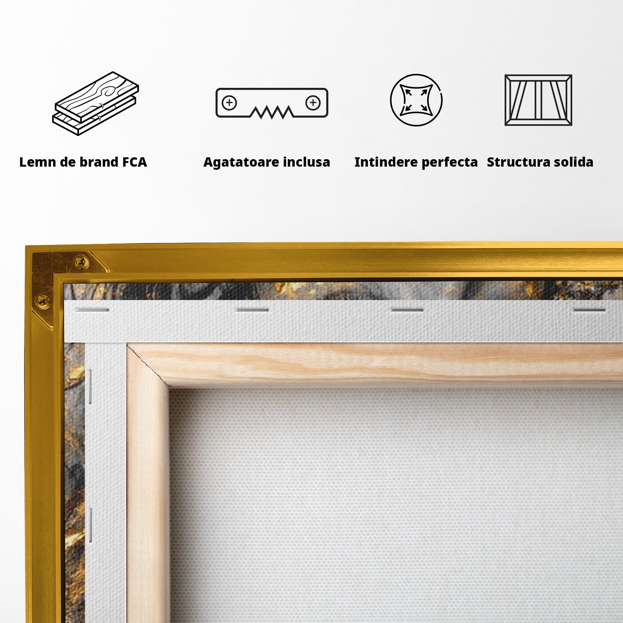 Tablou Canvas Premium LuxCanva® PI1059, Portret Aurit, Frumusete, Chip, Femeie, Arta, Eleganta, Living, Culori Vibrante
