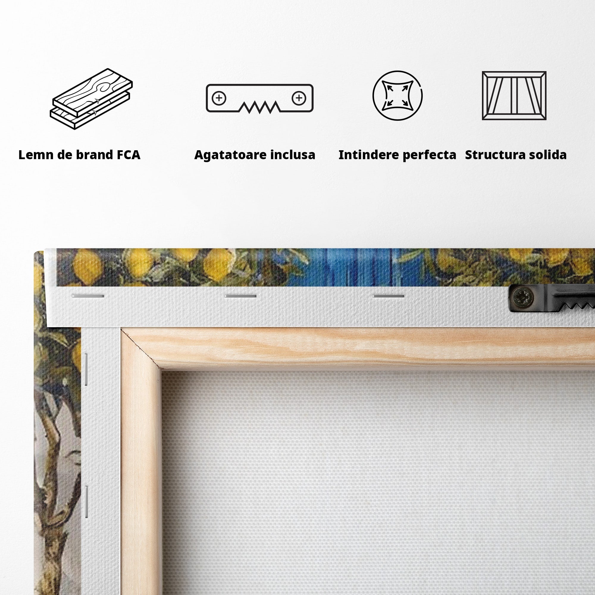 Tablou Canvas Premium LuxCanva® PI1066, Poarta Albastra Cu Lamai, Poarta, Lamai, Mediterranean, Living, Natura, Culori Vibrante