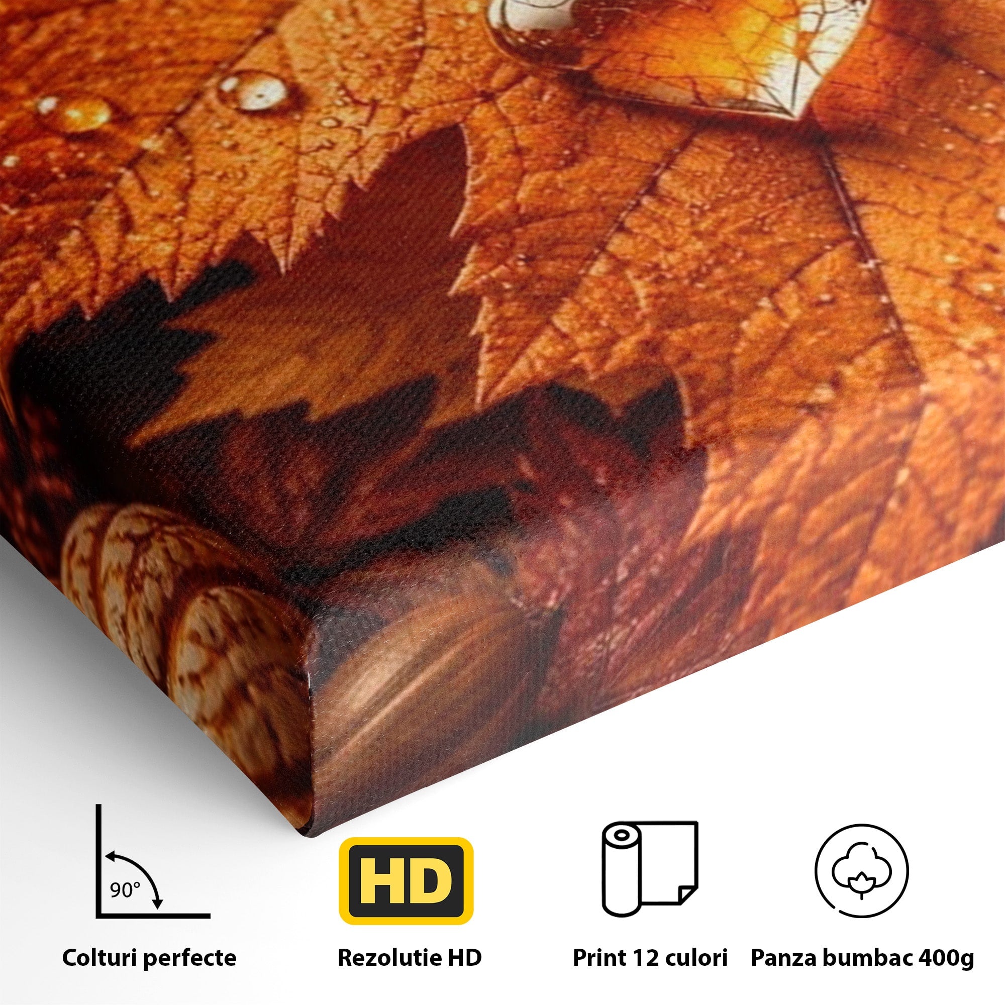 Tablou Canvas Premium LuxCanva® PI1094, Frunza De Toamna,Picatura, Roua, Lumina, Decor, Living, Culori Vibrante