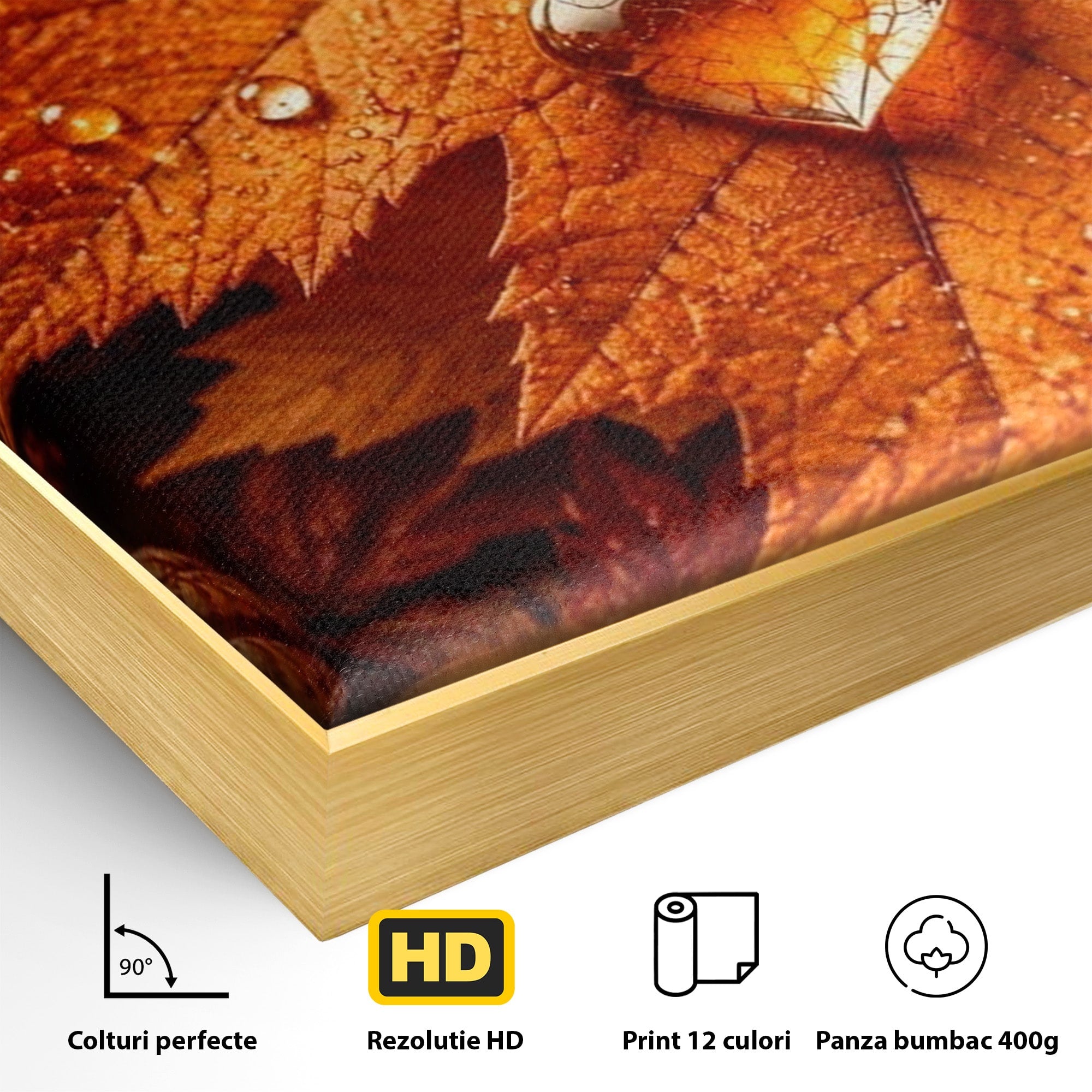 Tablou Canvas Premium LuxCanva® PI1094, Frunza De Toamna,Picatura, Roua, Lumina, Decor, Living, Culori Vibrante