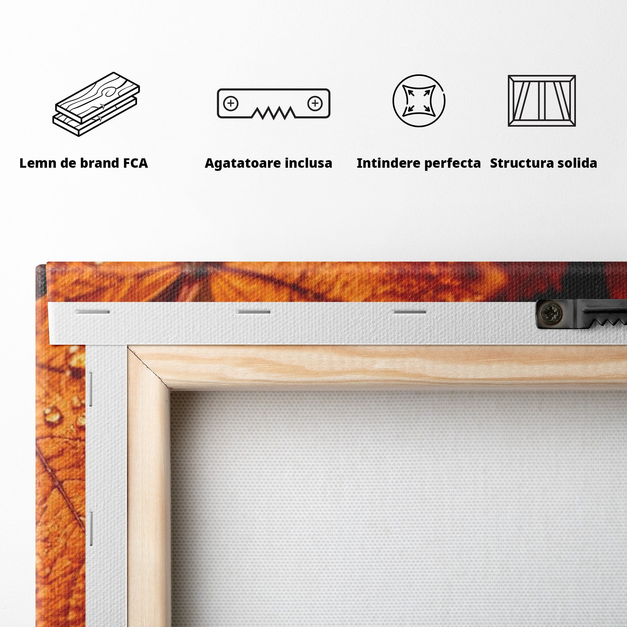Tablou Canvas Premium LuxCanva® PI1094, Frunza De Toamna,Picatura, Roua, Lumina, Decor, Living, Culori Vibrante