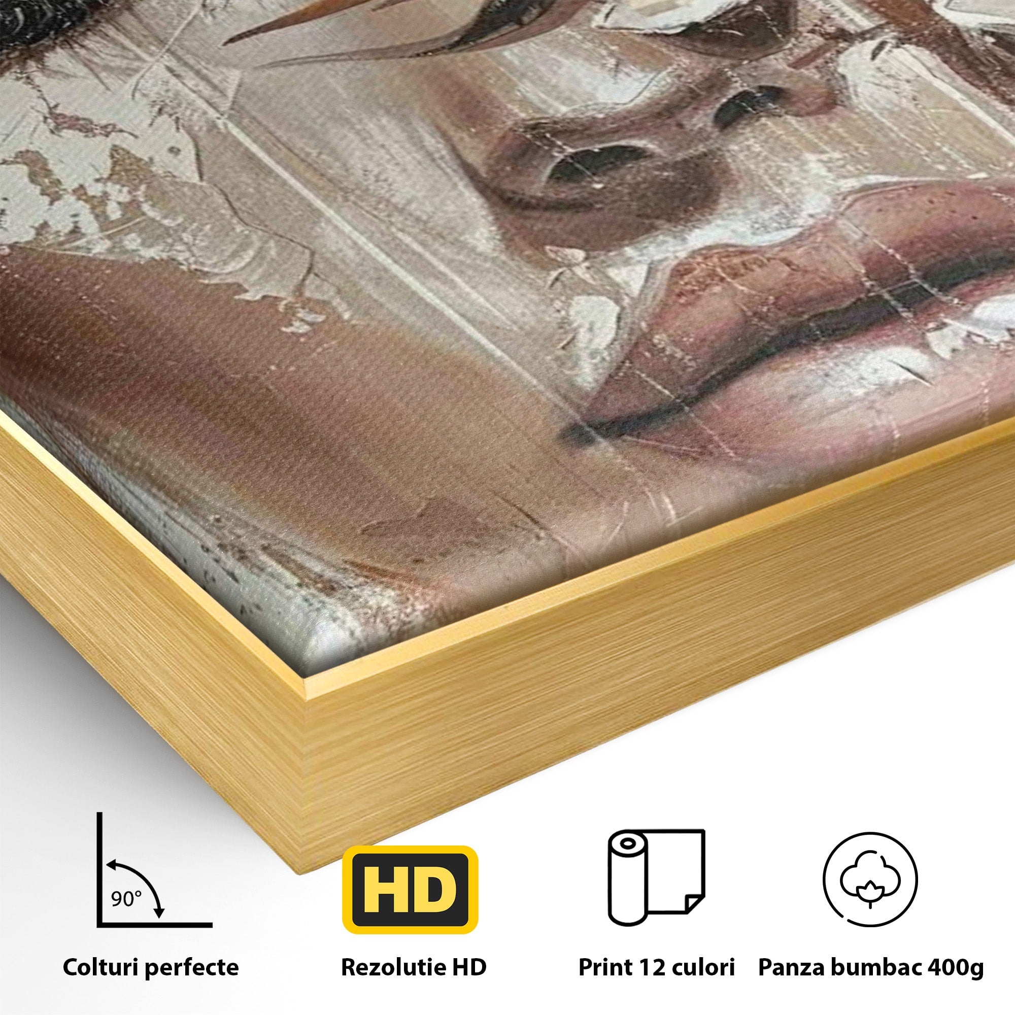 Tablou Canvas Premium LuxCanva® PI1104, Portret Cu Flori, Mister, Feminin, Flori, Living, Arta, Culori Vibrante