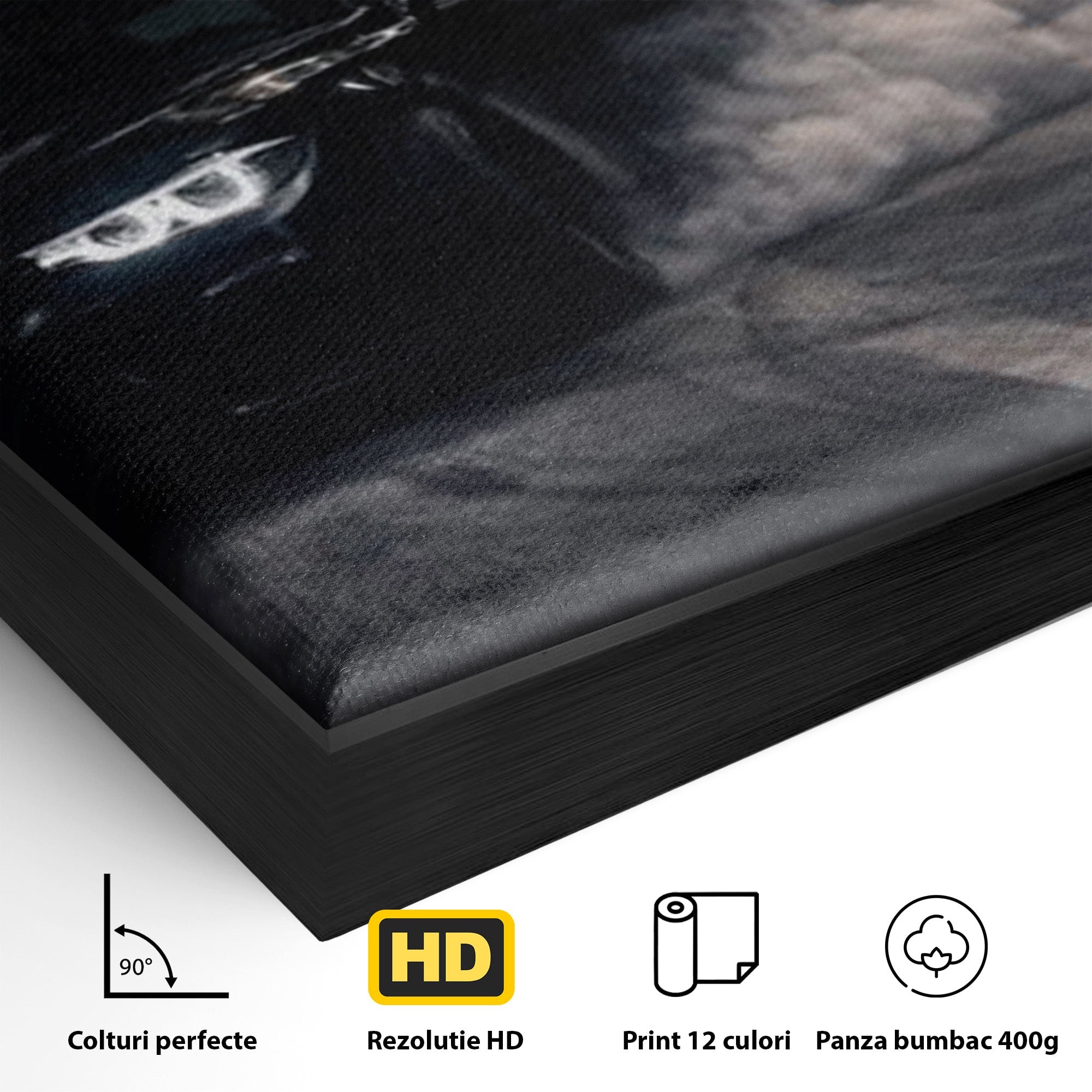 Tablou Canvas Premium LuxCanva® PI1136, Cursa Nocturna, Masina, Cal, Viteza, Aventura, Noapte, Living, Birou, Culori Vibrante
