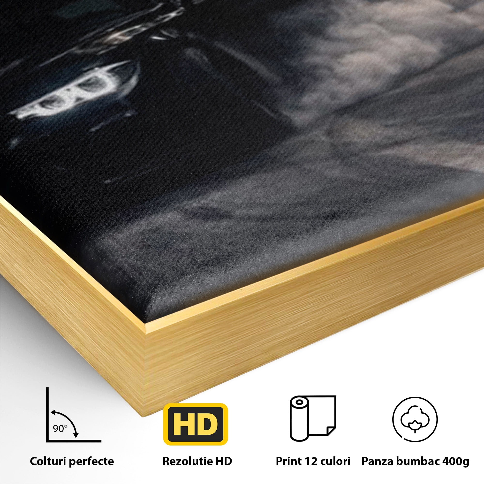 Tablou Canvas Premium LuxCanva® PI1136, Cursa Nocturna, Masina, Cal, Viteza, Aventura, Noapte, Living, Birou, Culori Vibrante