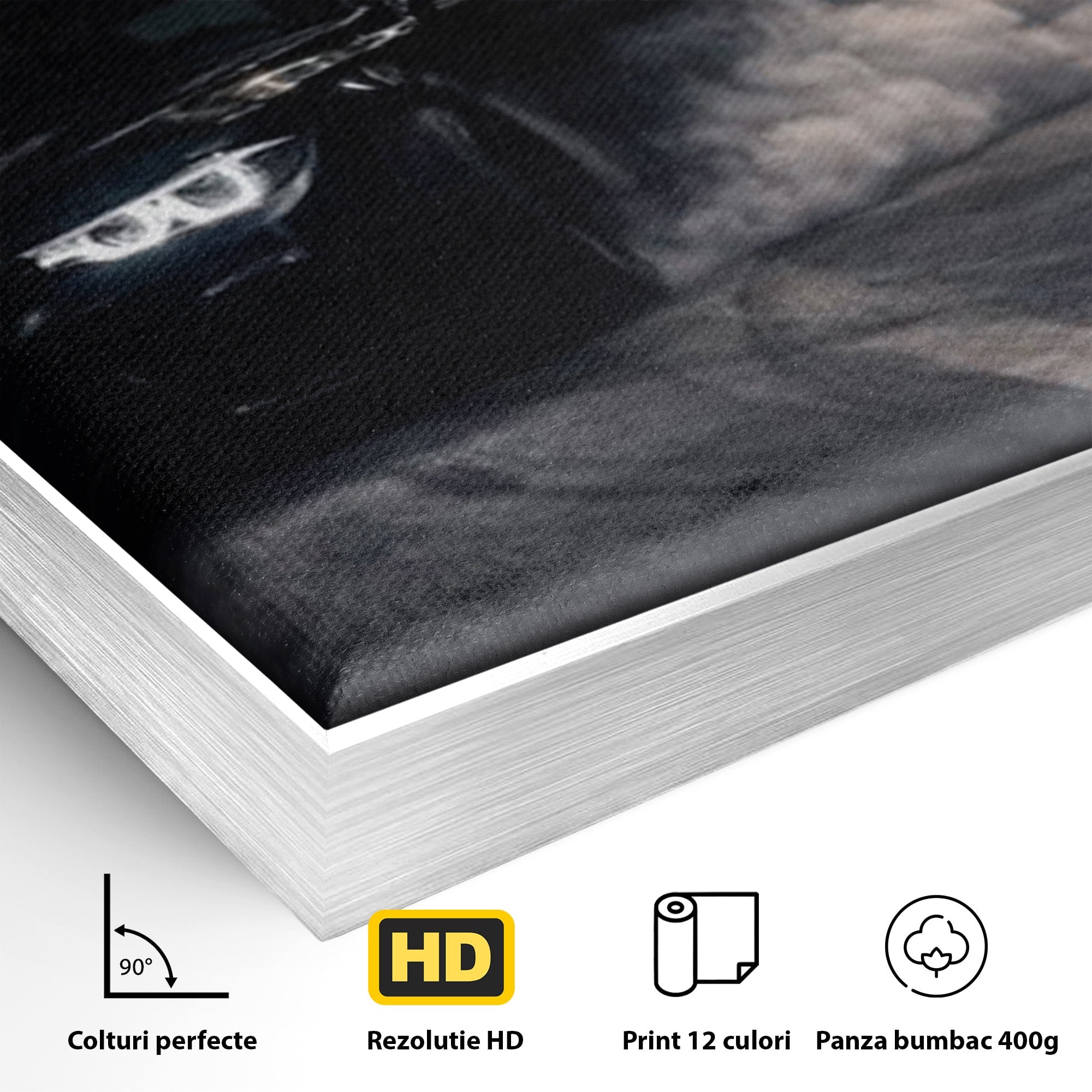 Tablou Canvas Premium LuxCanva® PI1136, Cursa Nocturna, Masina, Cal, Viteza, Aventura, Noapte, Living, Birou, Culori Vibrante