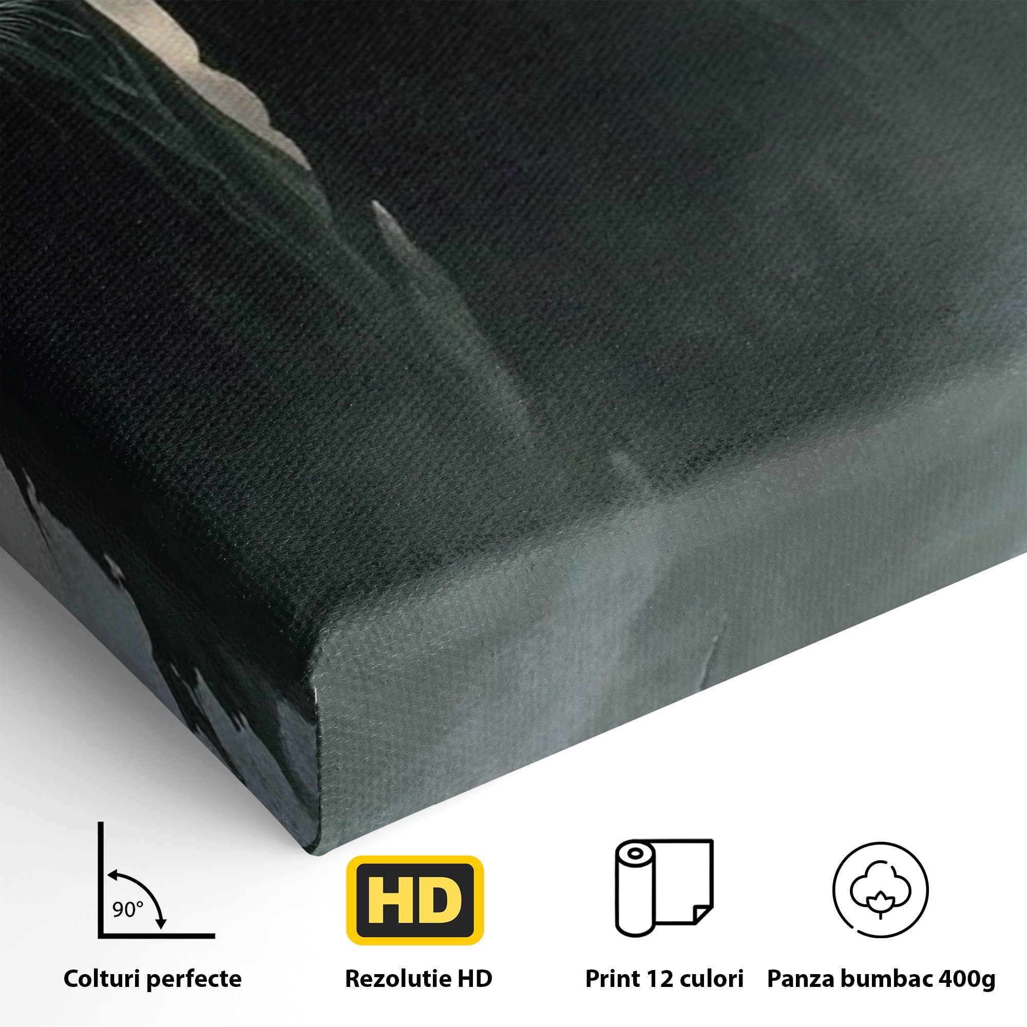 Tablou Canvas Premium LuxCanva® PI1151, Umbre Sub Luna Plina, Fantasy, Cavaleri, Negru, Noapte, Dormitor, Culori Vibrante