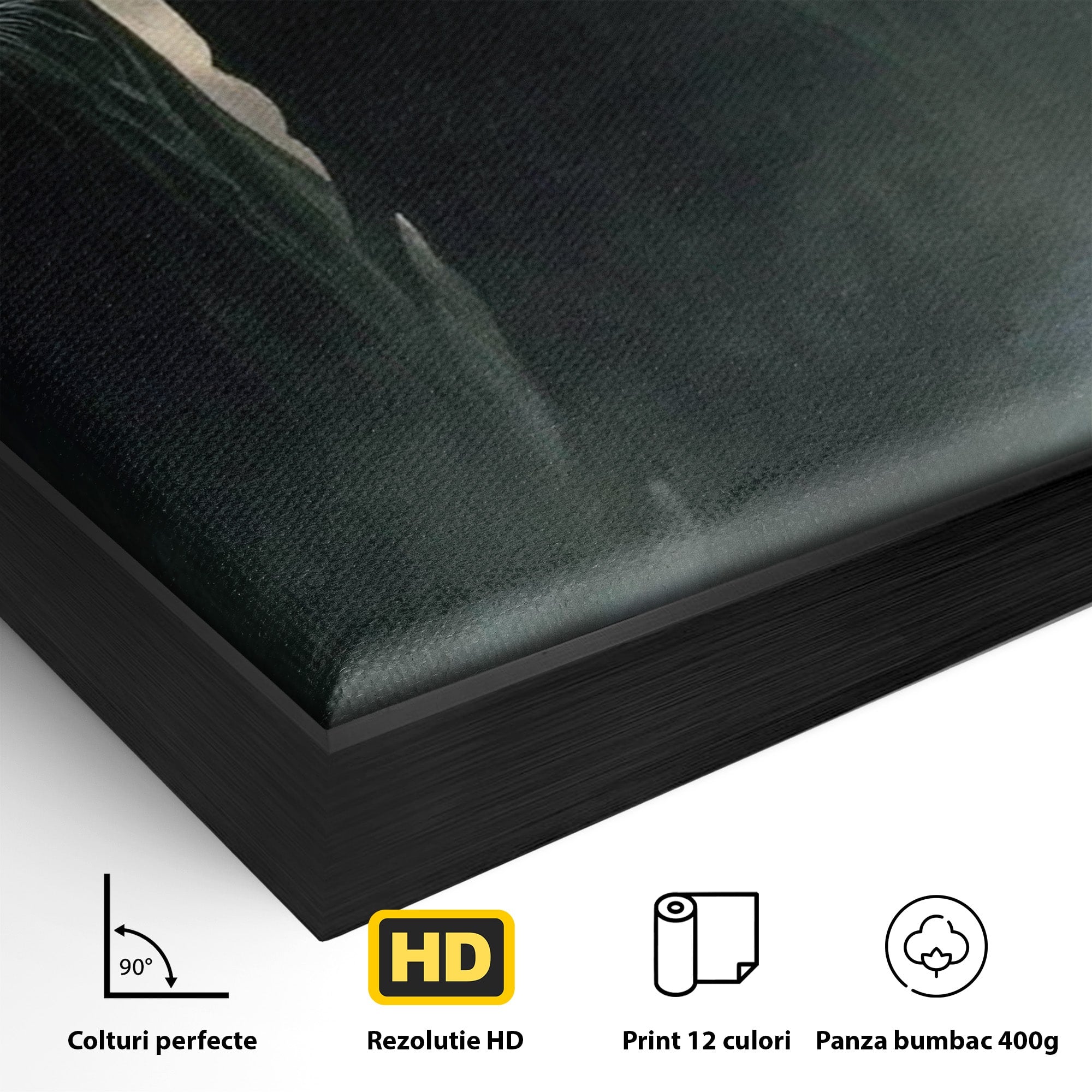 Tablou Canvas Premium LuxCanva® PI1151, Umbre Sub Luna Plina, Fantasy, Cavaleri, Negru, Noapte, Dormitor, Culori Vibrante