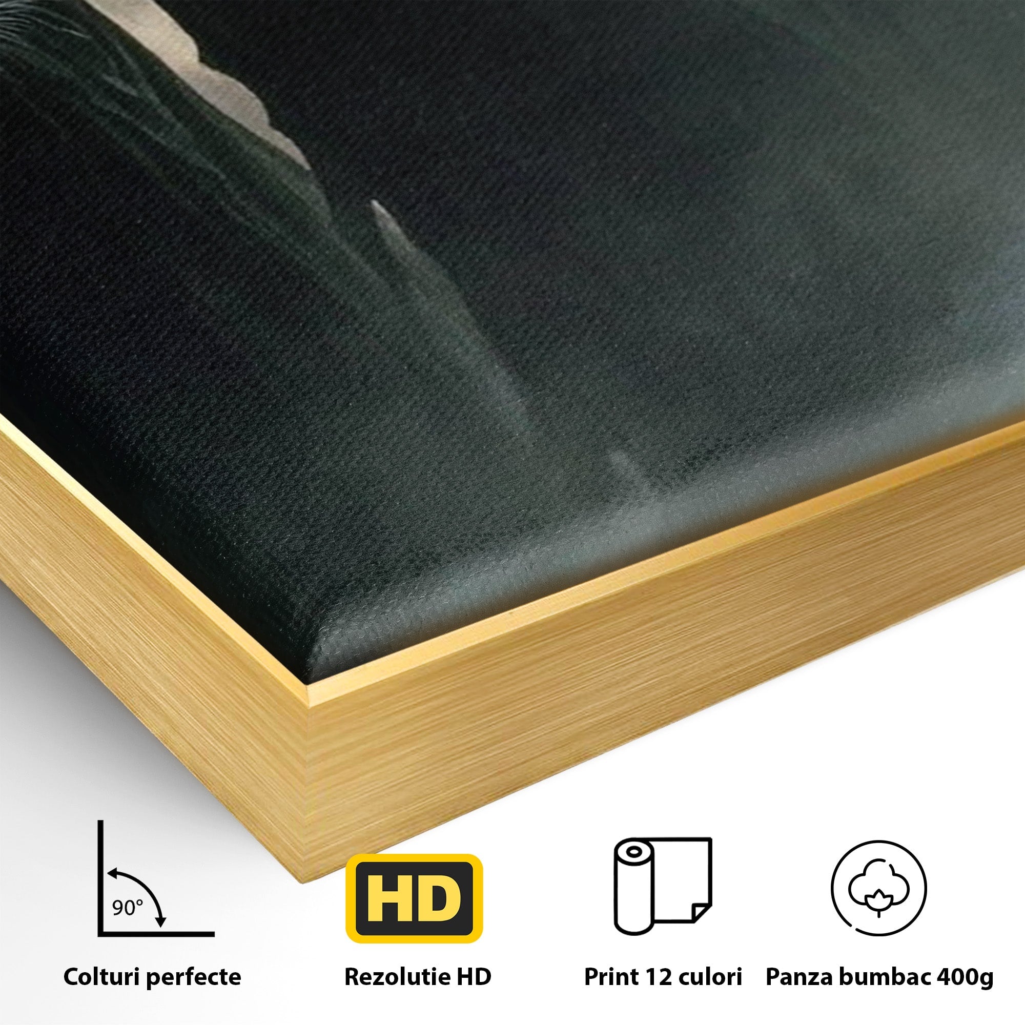 Tablou Canvas Premium LuxCanva® PI1151, Umbre Sub Luna Plina, Fantasy, Cavaleri, Negru, Noapte, Dormitor, Culori Vibrante