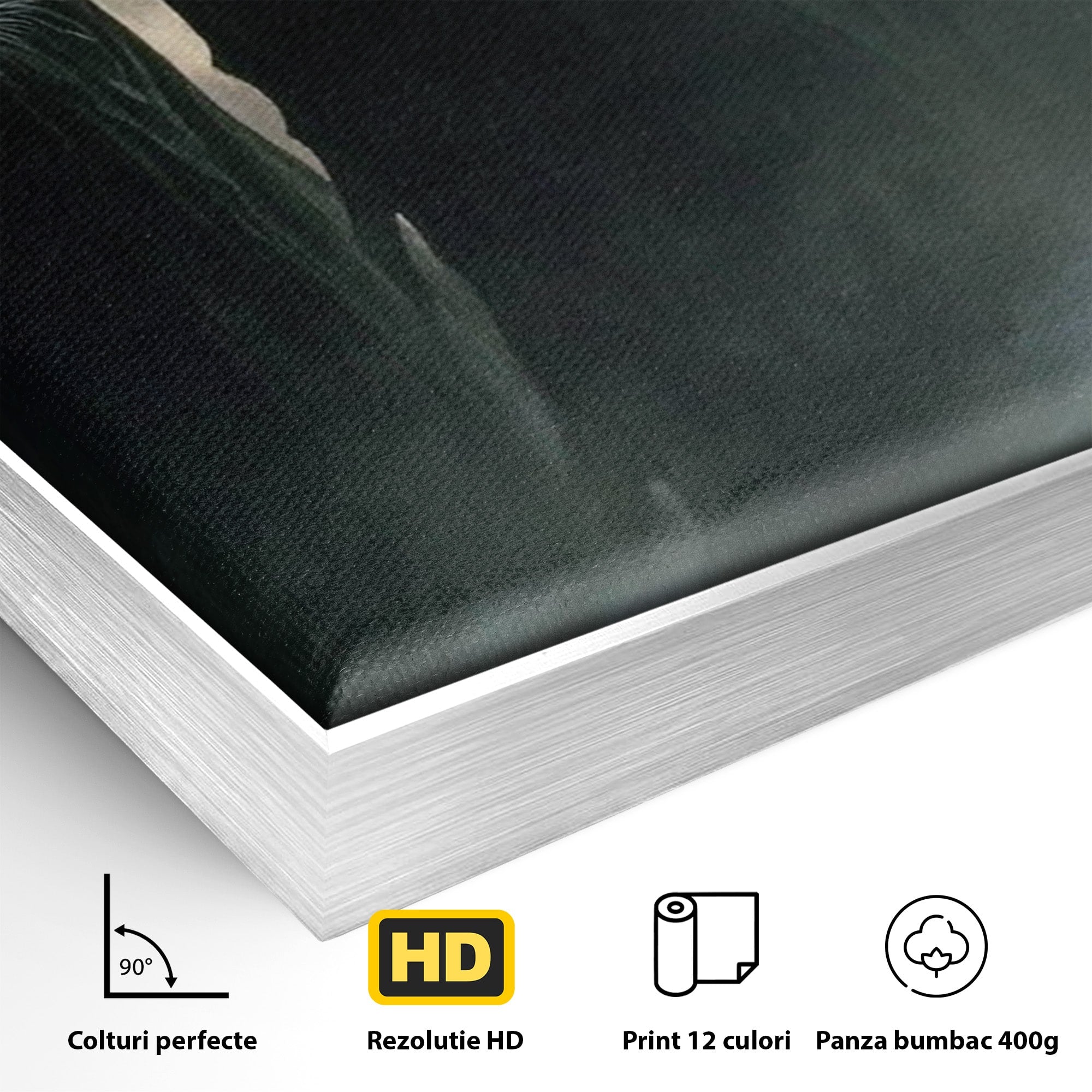 Tablou Canvas Premium LuxCanva® PI1151, Umbre Sub Luna Plina, Fantasy, Cavaleri, Negru, Noapte, Dormitor, Culori Vibrante