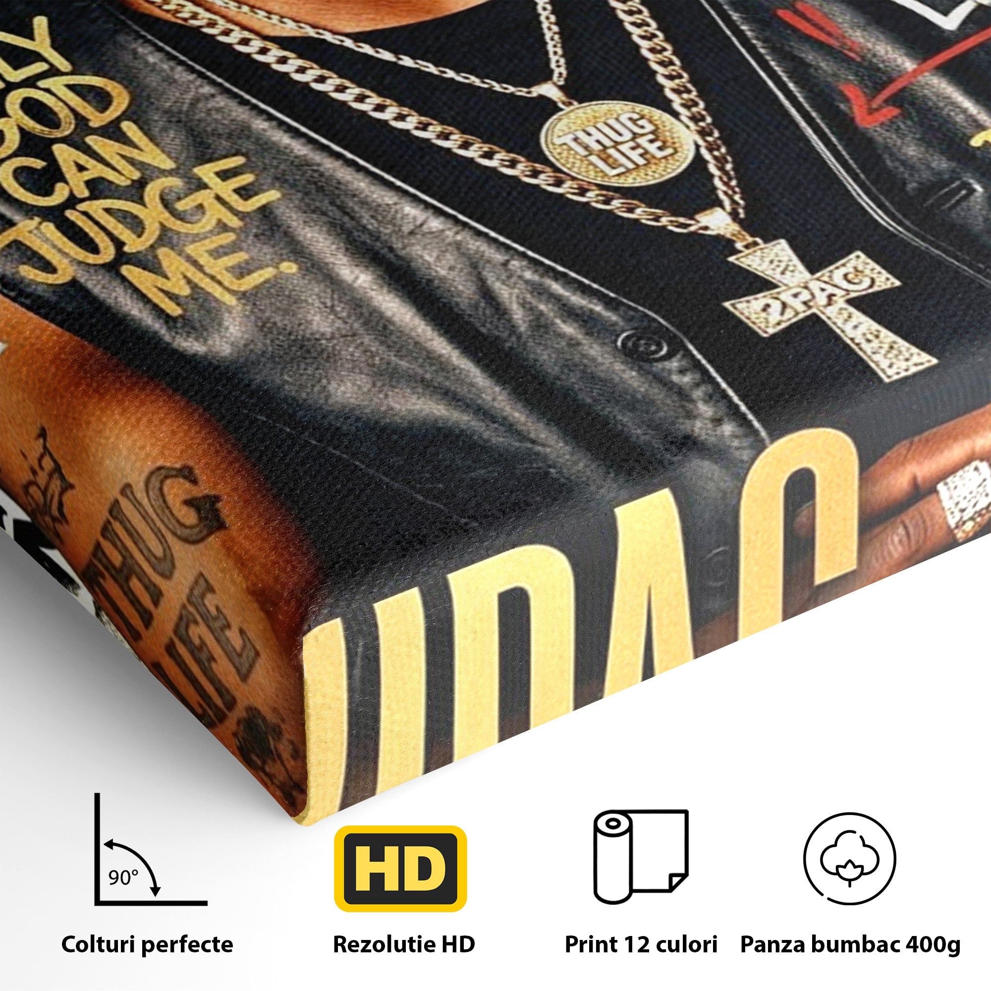 Tablou Canvas Premium LuxCanva® PI1154, Portret Tupac Shakur, Muzician, Legenda, Hip-Hop, Living, Culori Vibrante