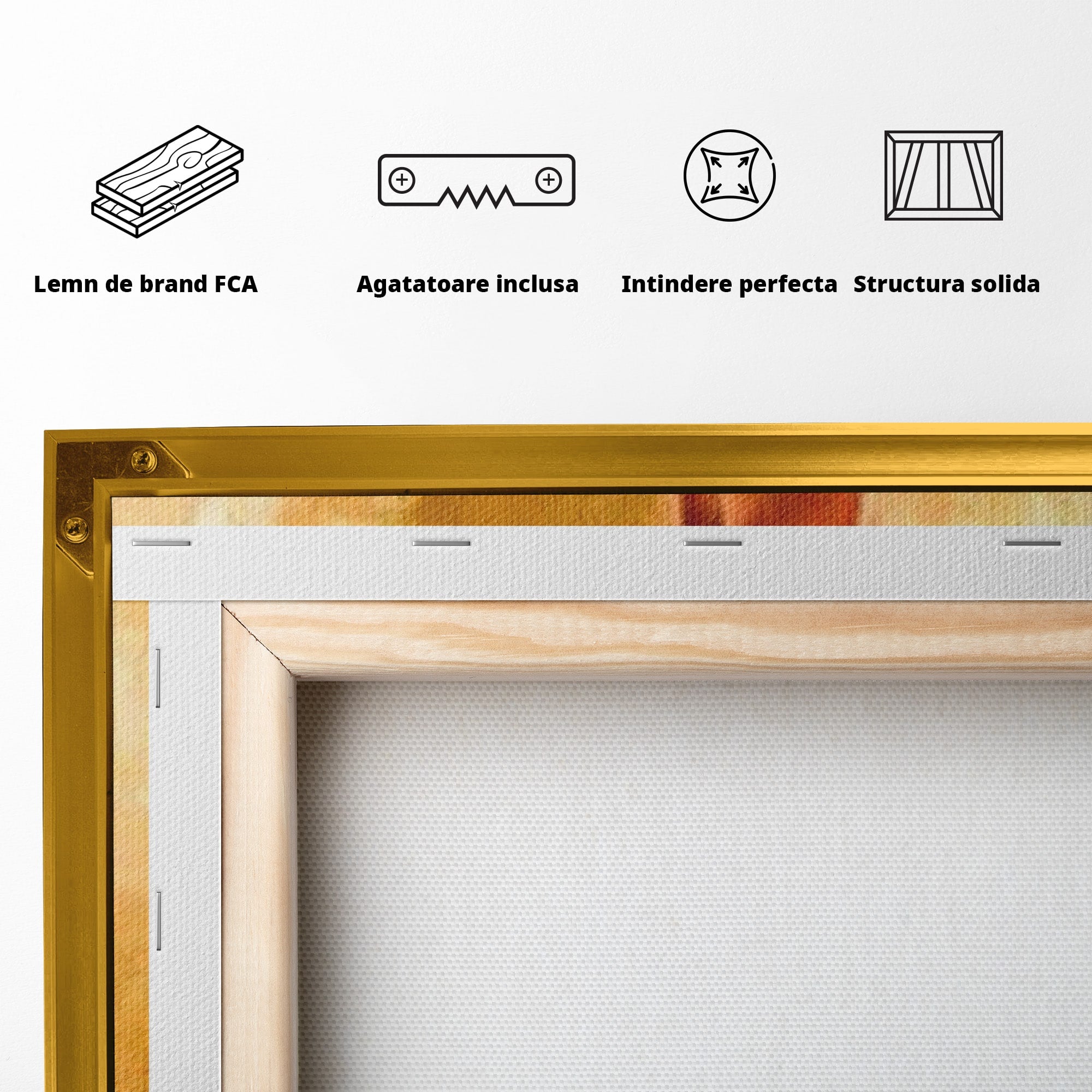 Tablou Canvas Premium LuxCanva® PI1160, Farmecul Serii, Femeie, Senzualitate, Eleganta, Dormitor, Living, Culori Vibrante