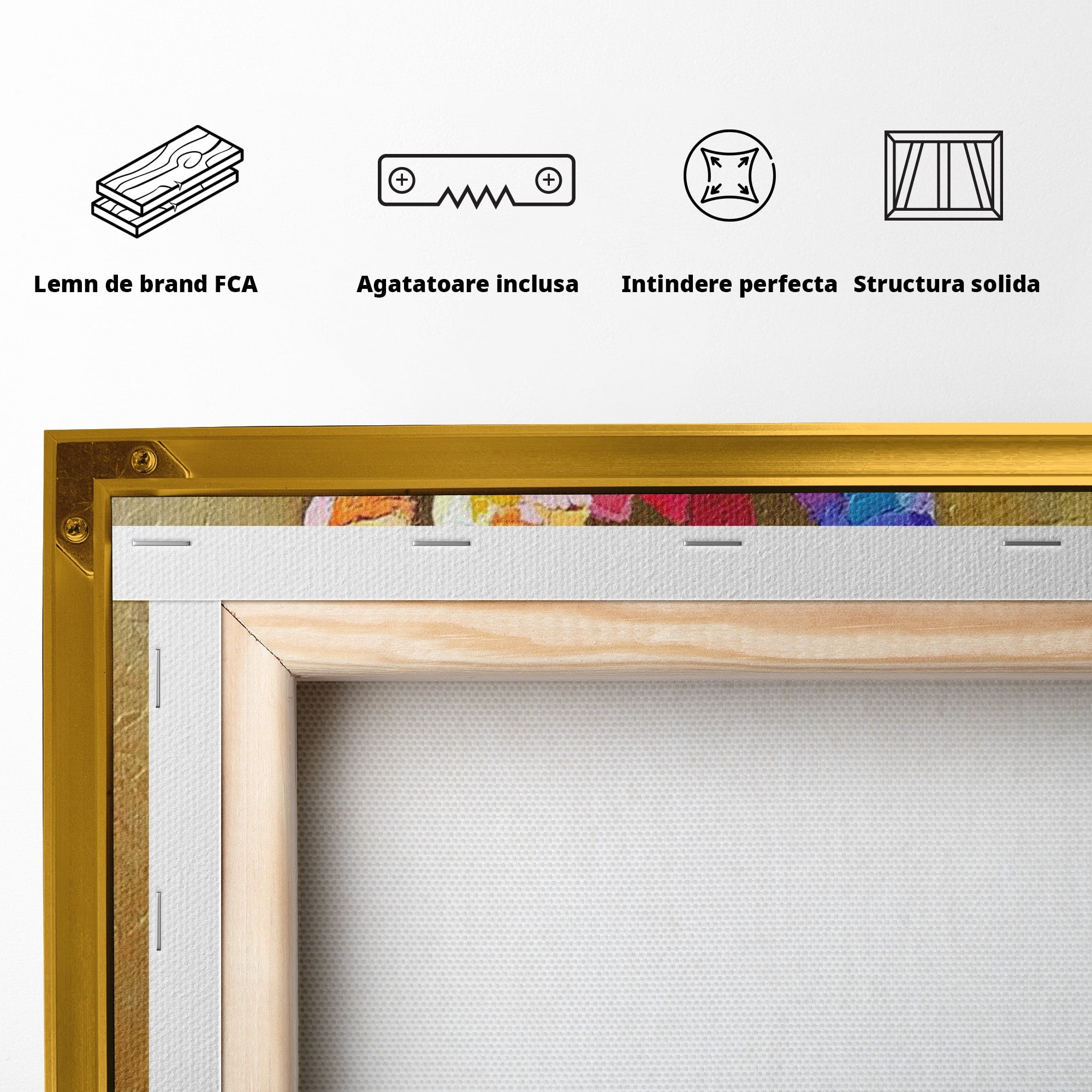 Tablou Canvas Premium LuxCanva® PI1161, Dansul Formelor Abstracte, Silueta, Trup, Femeie, Living, Dormitor, Culori Vibrante