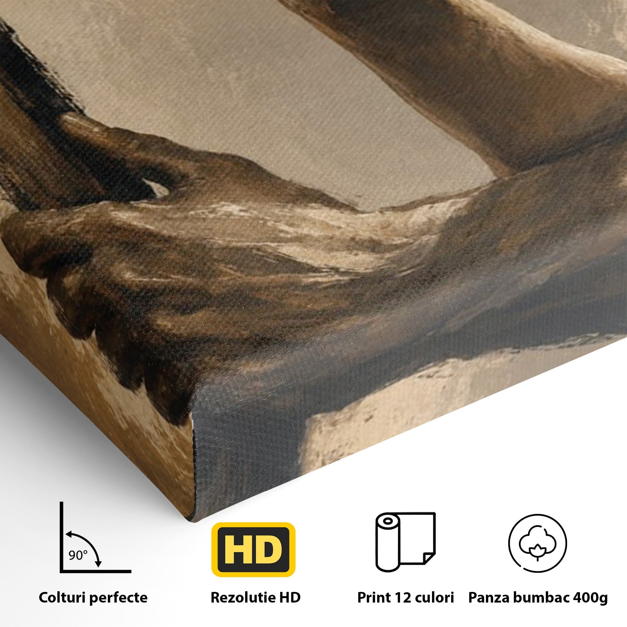 Tablou Canvas Premium LuxCanva® PI1162, Urcarea Pe Scara, Pasi, Maini, Picioare, Trepte, Living, Birou, Culori Vibrante