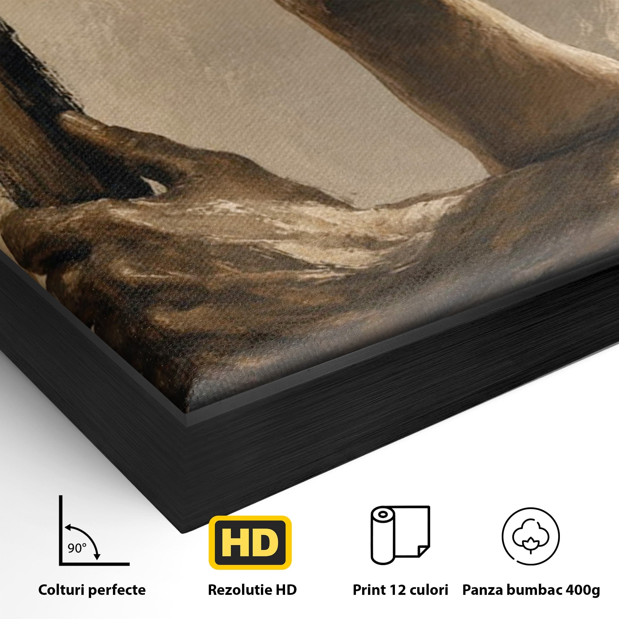 Tablou Canvas Premium LuxCanva® PI1162, Urcarea Pe Scara, Pasi, Maini, Picioare, Trepte, Living, Birou, Culori Vibrante